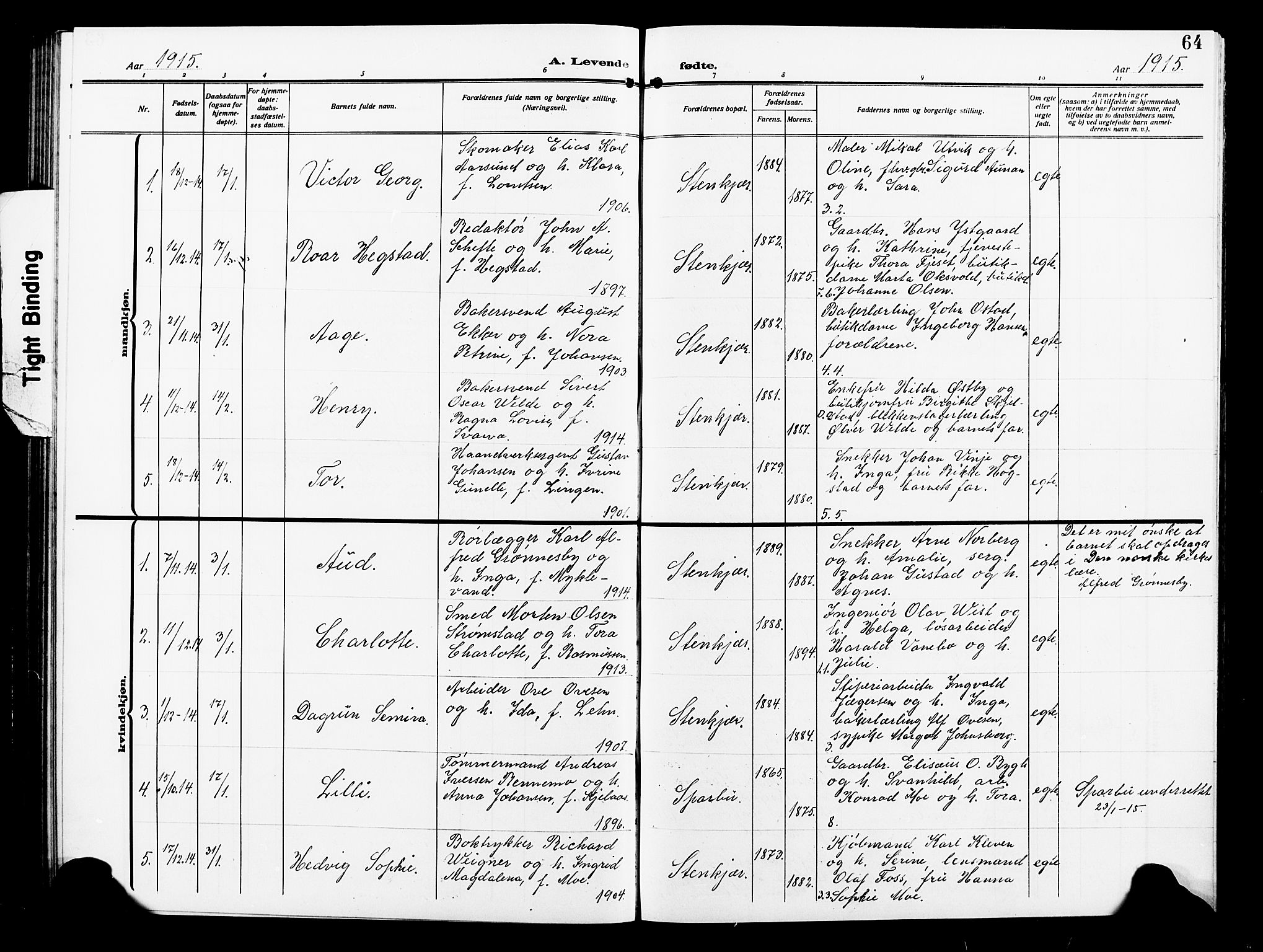 Ministerialprotokoller, klokkerbøker og fødselsregistre - Nord-Trøndelag, SAT/A-1458/739/L0376: Parish register (copy) no. 739C04, 1908-1917, p. 64