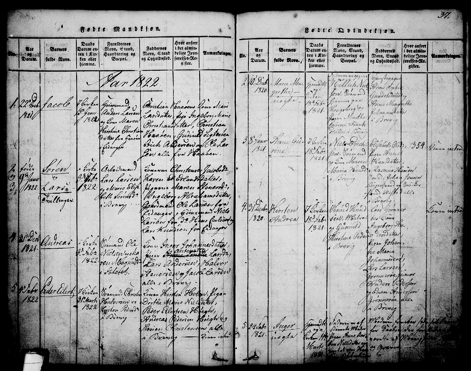Brevik kirkebøker, SAKO/A-255/G/Ga/L0001: Parish register (copy) no. 1, 1814-1845, p. 37
