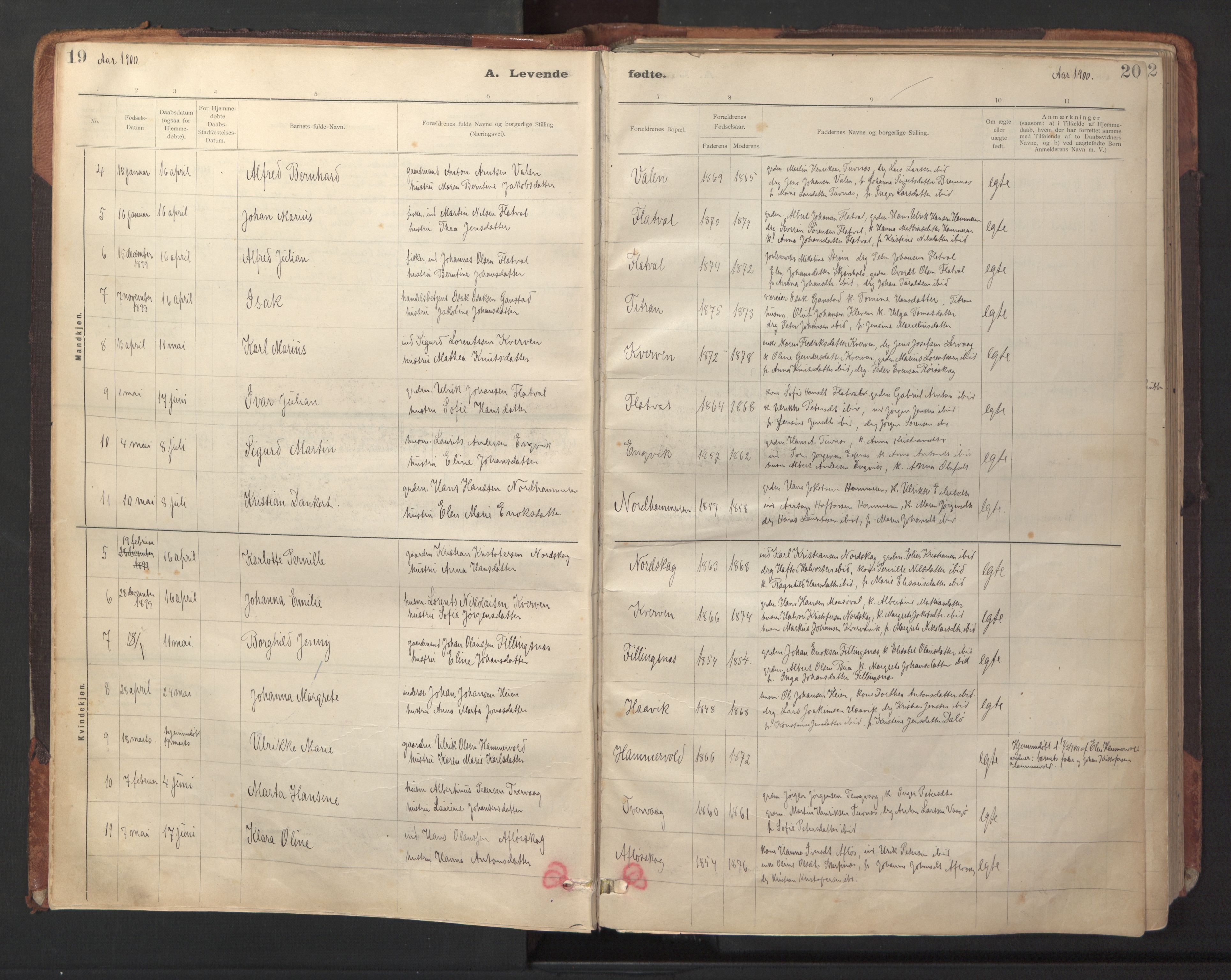 Ministerialprotokoller, klokkerbøker og fødselsregistre - Sør-Trøndelag, SAT/A-1456/641/L0596: Parish register (official) no. 641A02, 1898-1915, p. 19-20