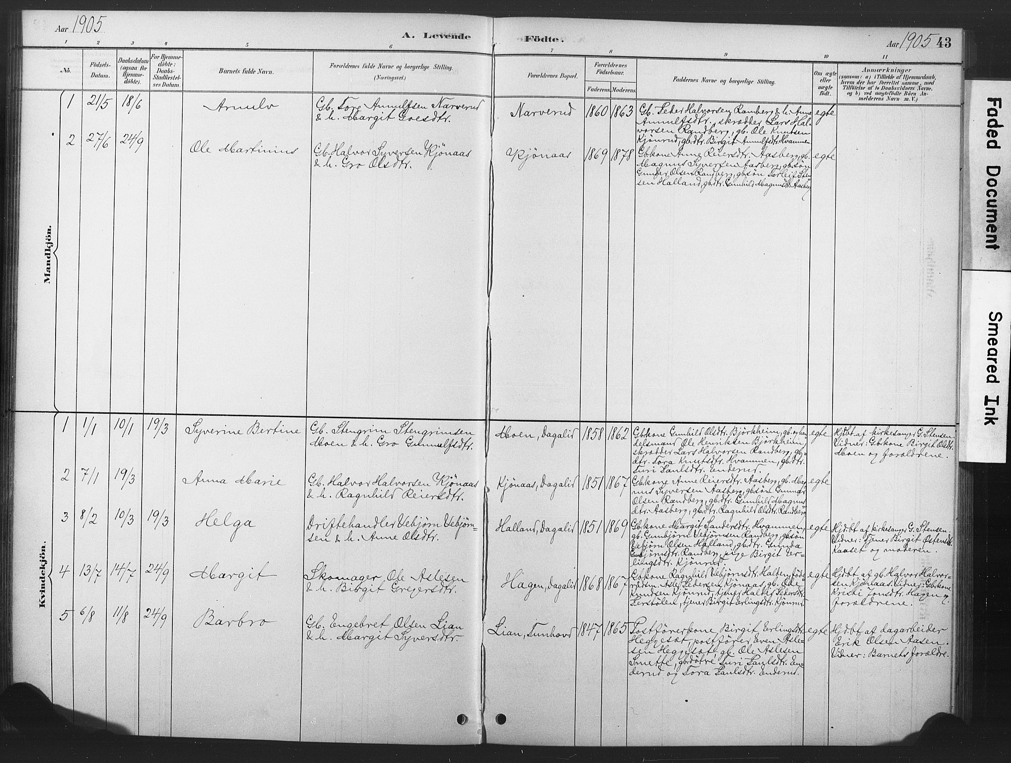 Nore kirkebøker, SAKO/A-238/F/Fd/L0001: Parish register (official) no. IV 1, 1878-1918, p. 43