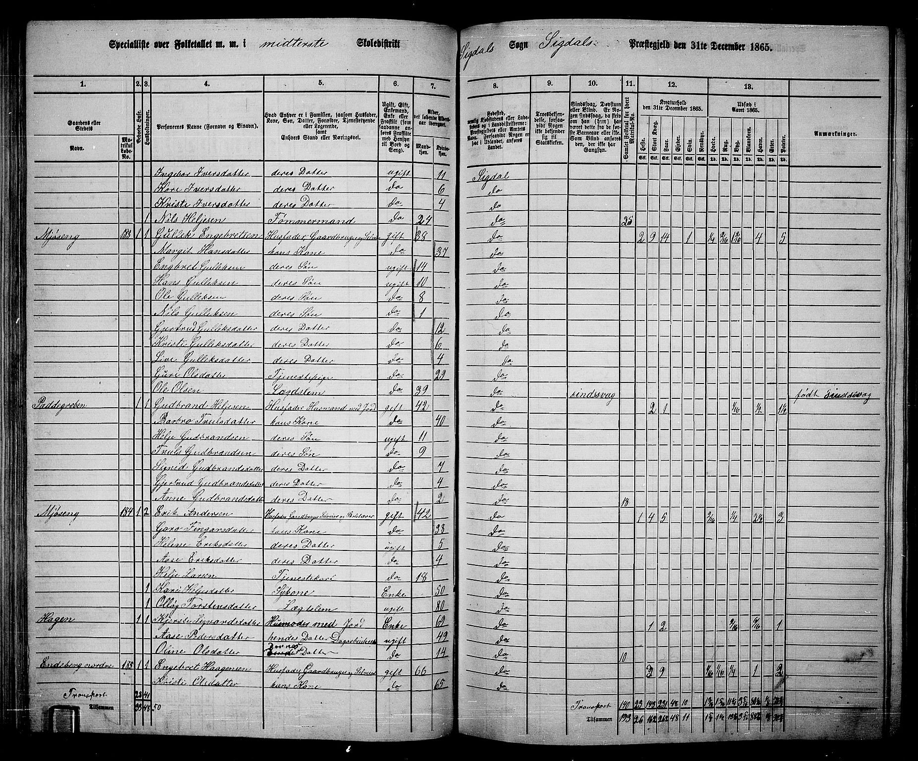 RA, 1865 census for Sigdal, 1865, p. 110