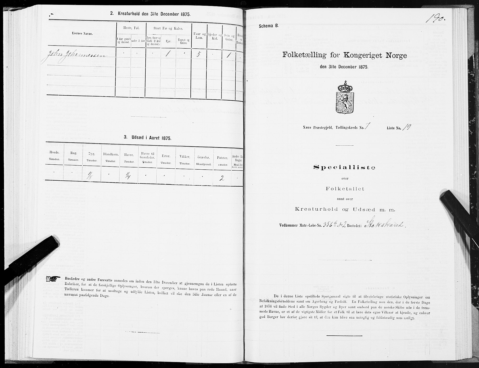 SAT, 1875 census for 1751P Nærøy, 1875, p. 3190