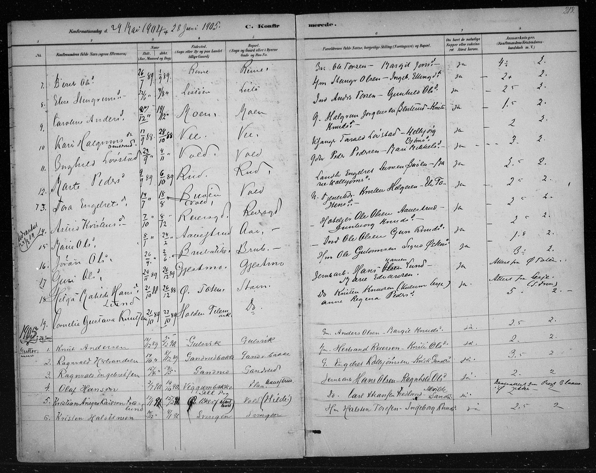 Nes kirkebøker, AV/SAKO-A-236/F/Fa/L0012: Parish register (official) no. 12, 1881-1917, p. 219