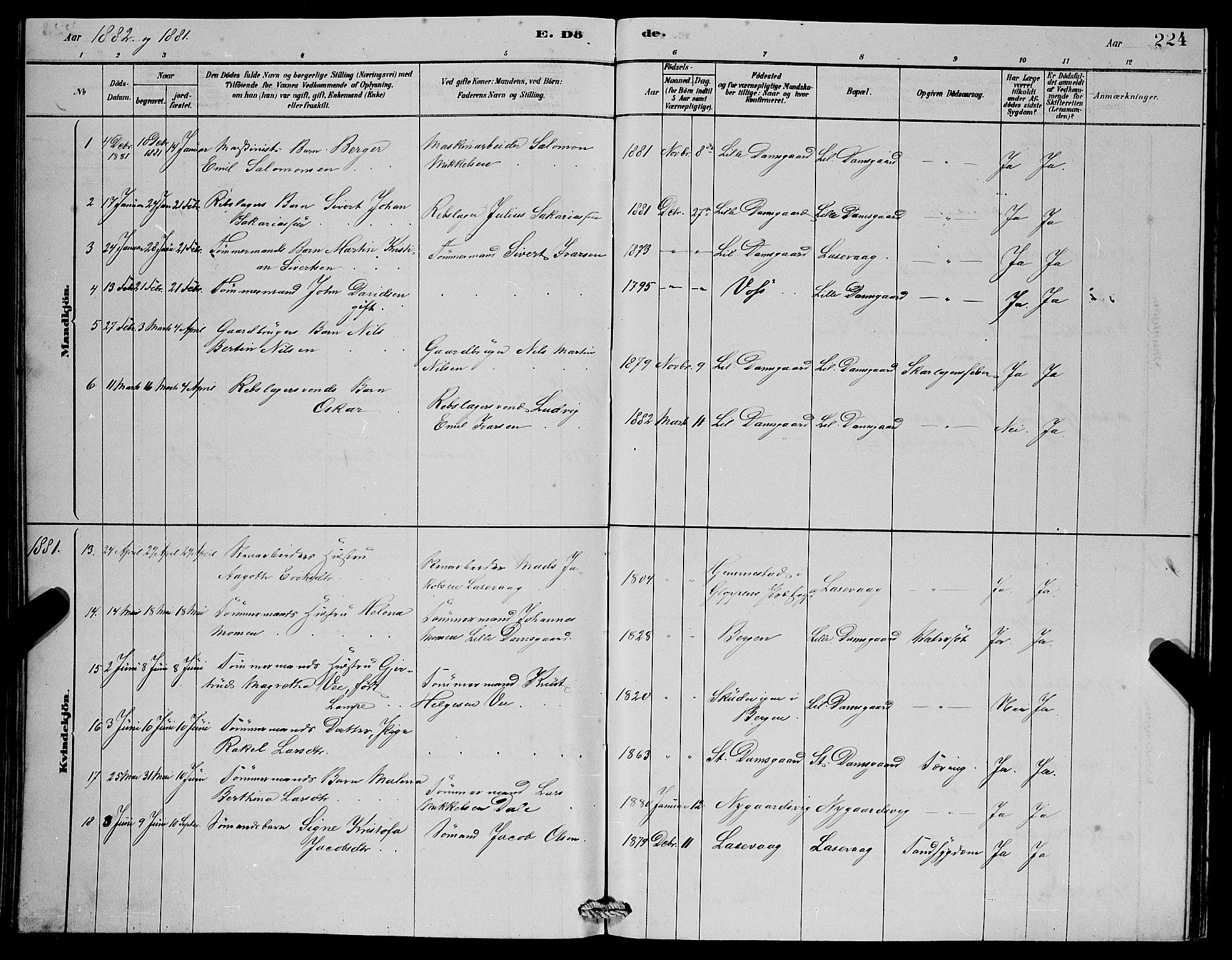 Laksevåg Sokneprestembete, SAB/A-76501/H/Ha/Hab/Haba/L0002: Parish register (copy) no. A 2, 1877-1887, p. 224