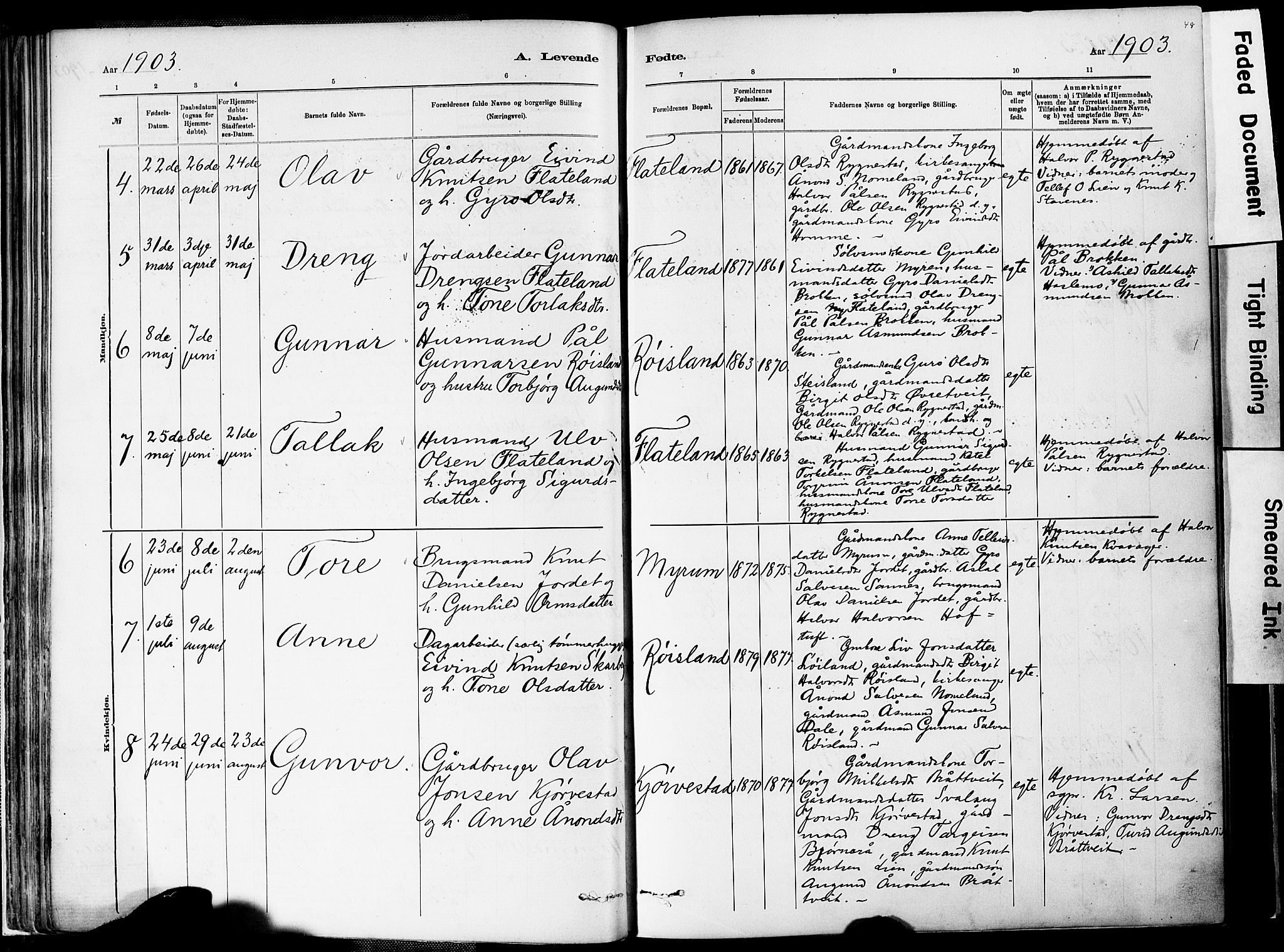 Valle sokneprestkontor, AV/SAK-1111-0044/F/Fa/Fac/L0009: Parish register (official) no. A 9, 1882-1913, p. 48