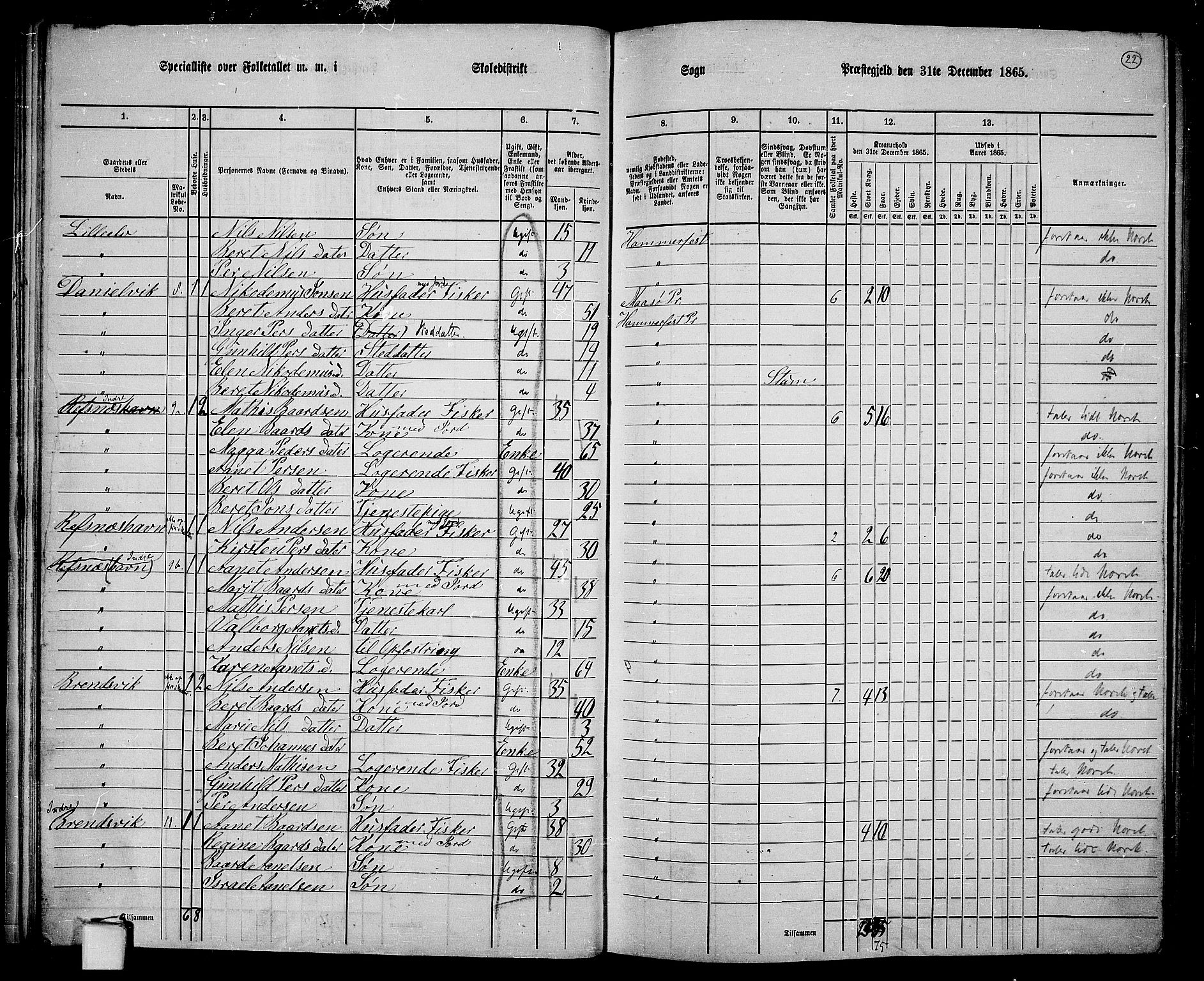 RA, 1865 census for Hammerfest/Hammerfest, 1865, p. 21