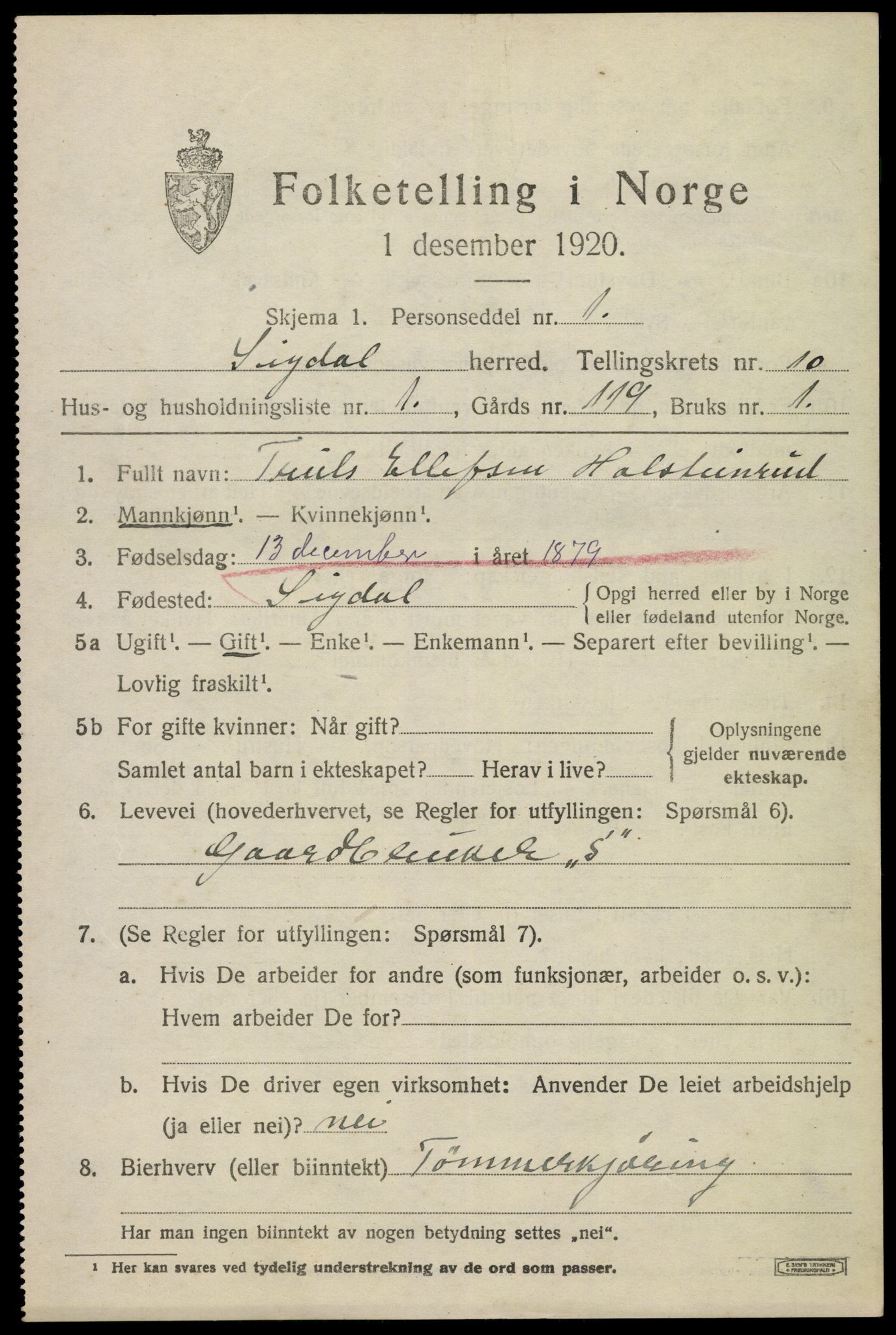 SAKO, 1920 census for Sigdal, 1920, p. 7050