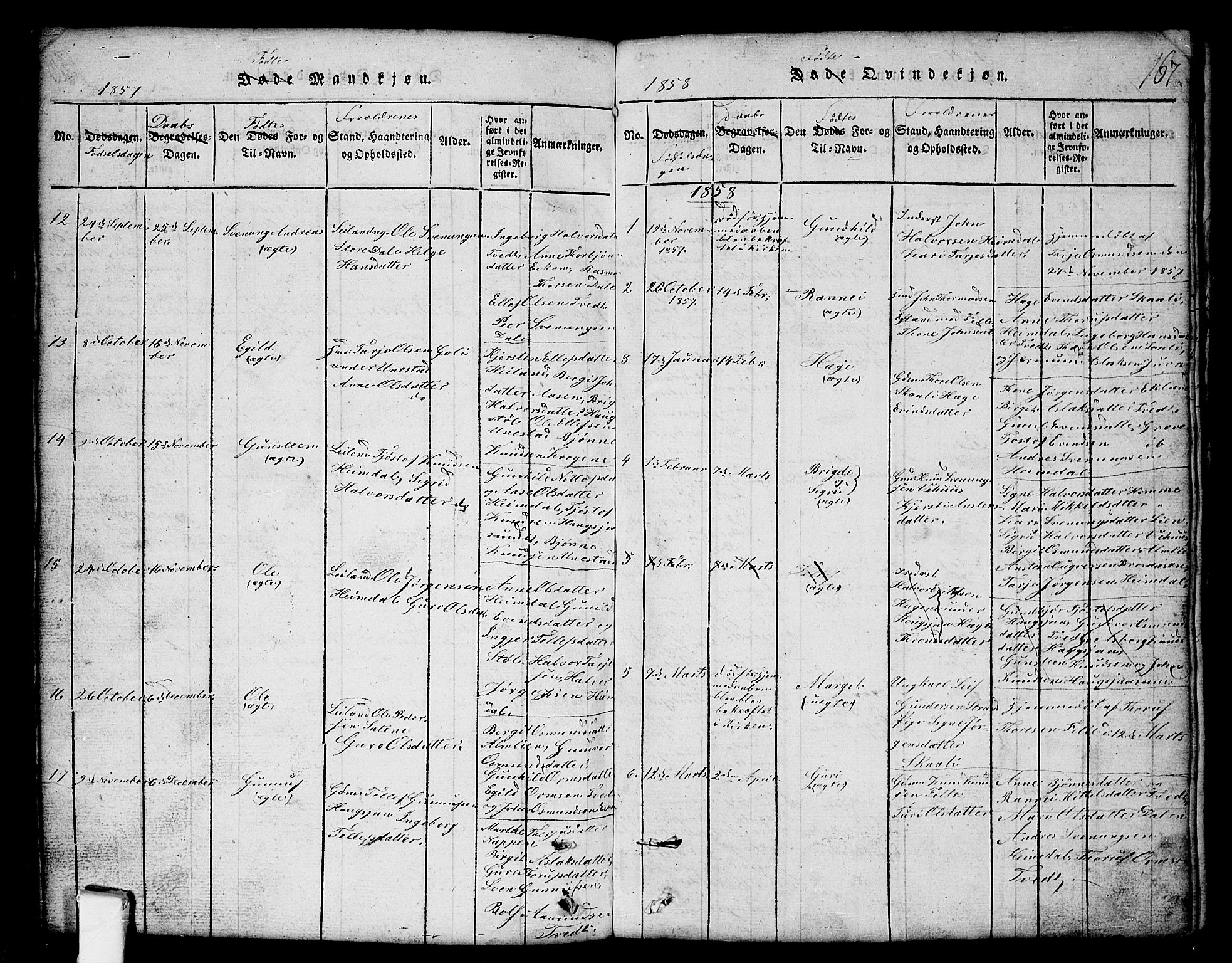Nissedal kirkebøker, SAKO/A-288/G/Gb/L0001: Parish register (copy) no. II 1, 1814-1862, p. 167