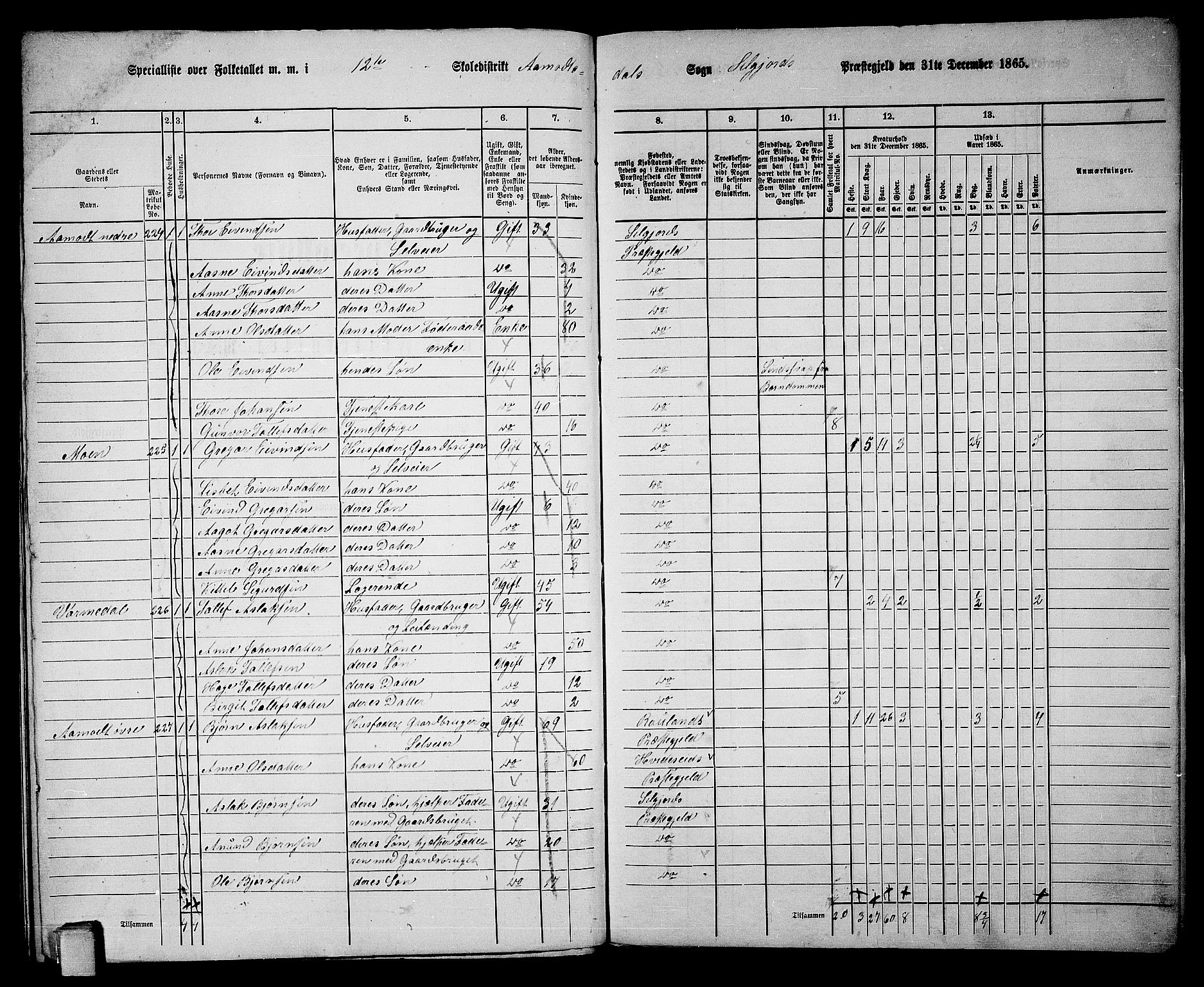 RA, 1865 census for Seljord, 1865, p. 163