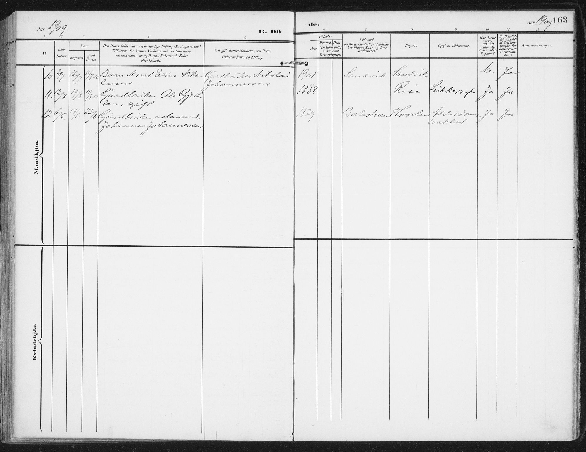 Ministerialprotokoller, klokkerbøker og fødselsregistre - Nordland, AV/SAT-A-1459/892/L1321: Parish register (official) no. 892A02, 1902-1918, p. 163