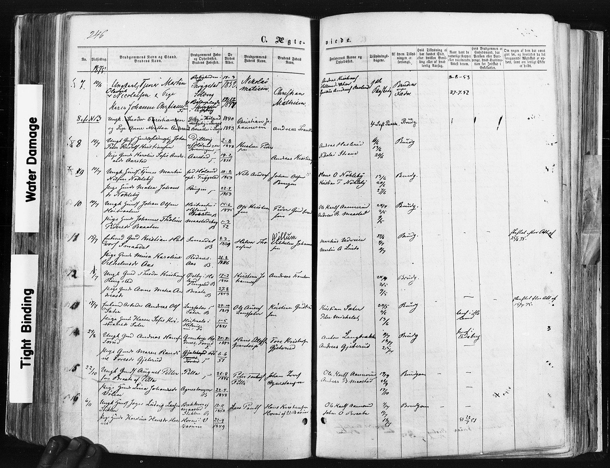 Trøgstad prestekontor Kirkebøker, SAO/A-10925/F/Fa/L0009: Parish register (official) no. I 9, 1865-1877, p. 246