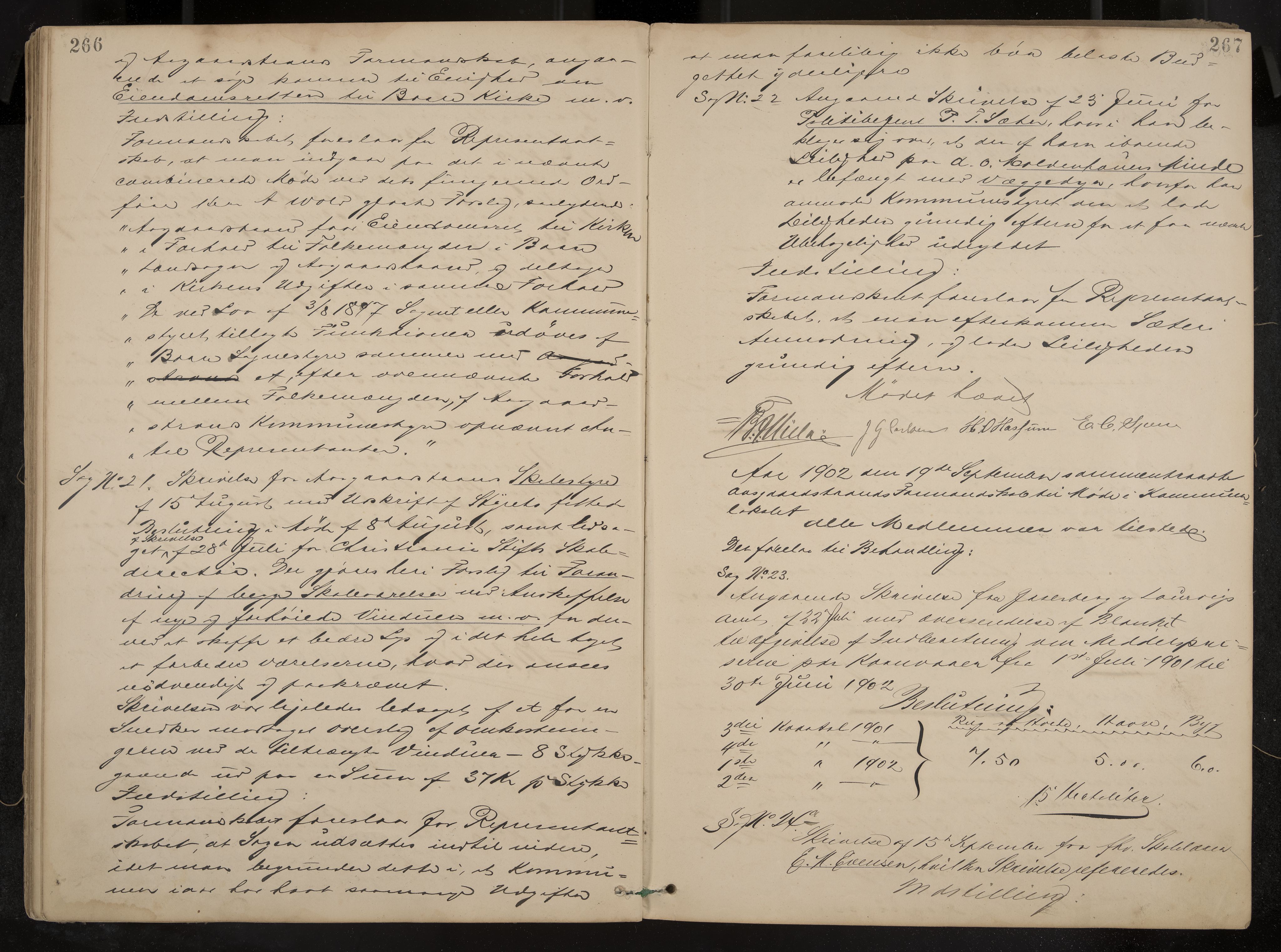 Åsgårdstrand formannskap og sentraladministrasjon, IKAK/0704021/A/L0003: Møtebok med register, 1890-1908, p. 266-267