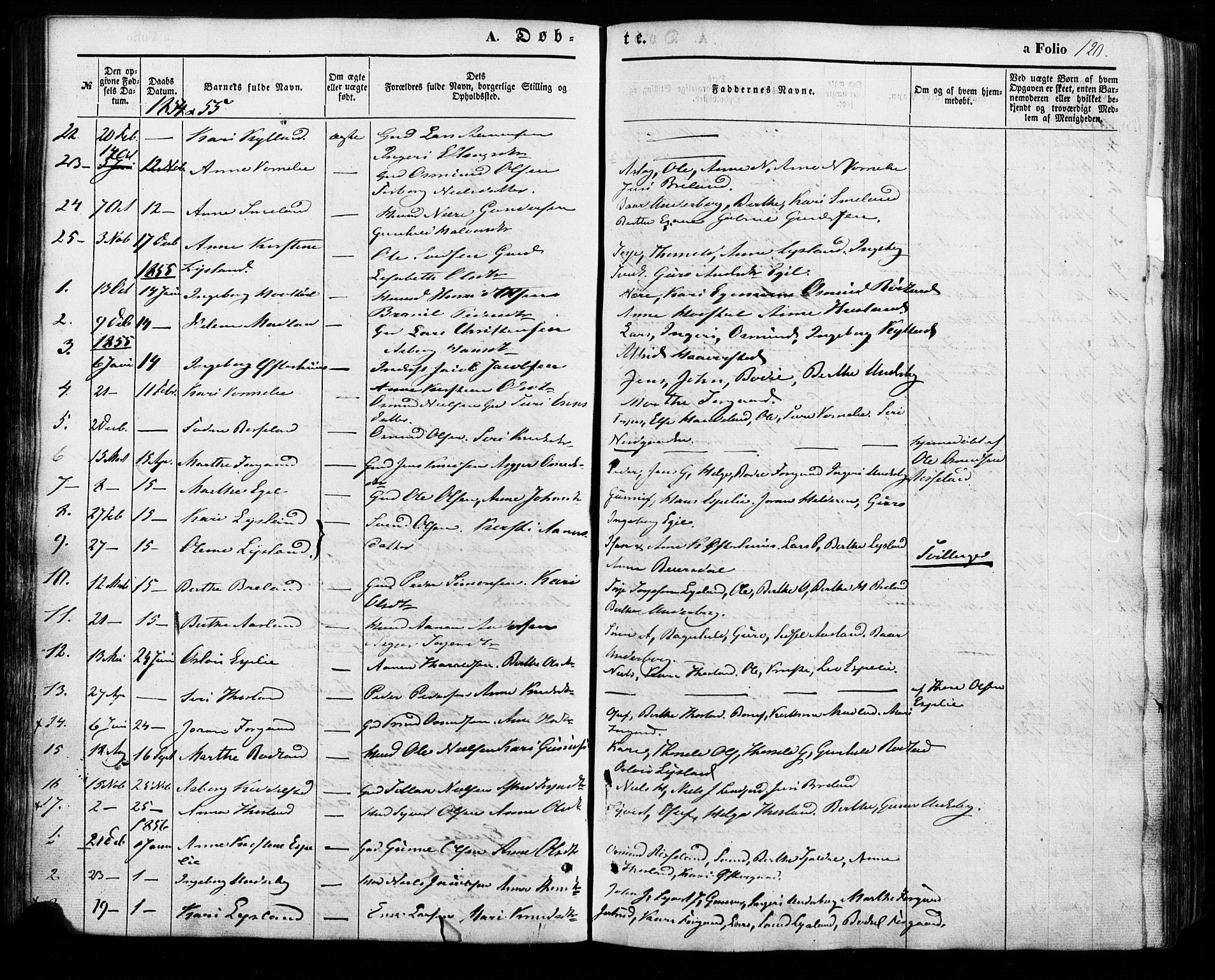 Åseral sokneprestkontor, AV/SAK-1111-0051/F/Fa/L0002: Parish register (official) no. A 2, 1854-1884, p. 120