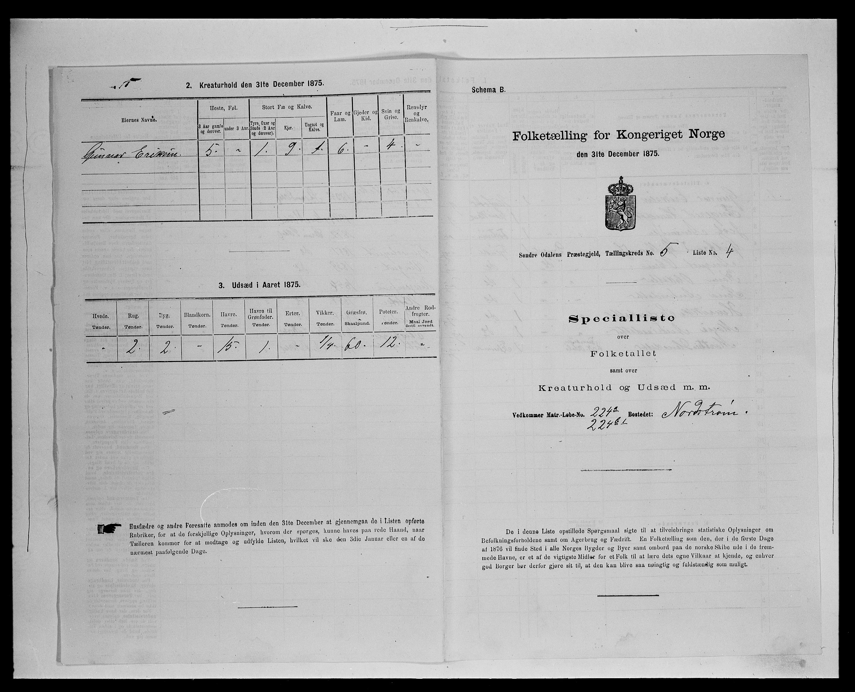 SAH, 1875 census for 0419P Sør-Odal, 1875, p. 494