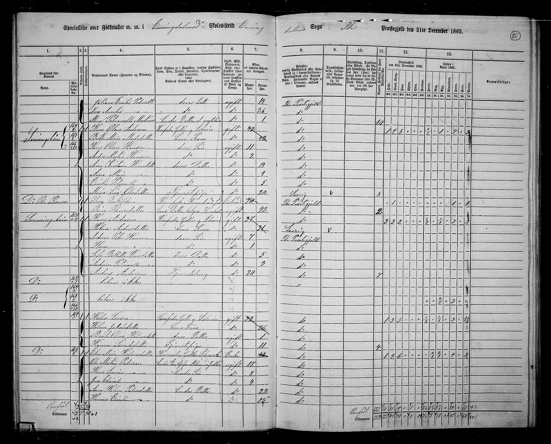 RA, 1865 census for Idd, 1865, p. 74