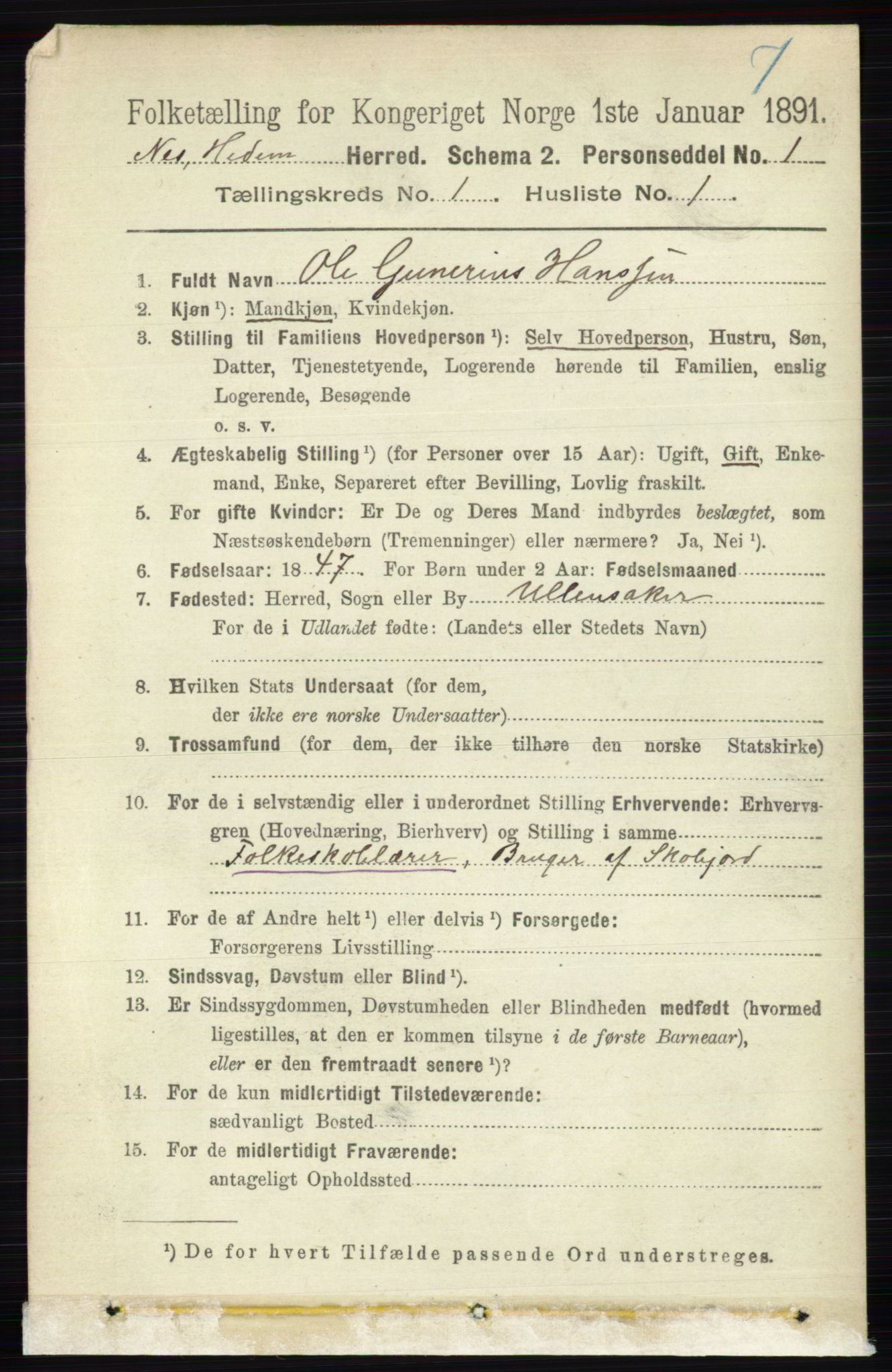 RA, 1891 census for 0411 Nes, 1891, p. 159