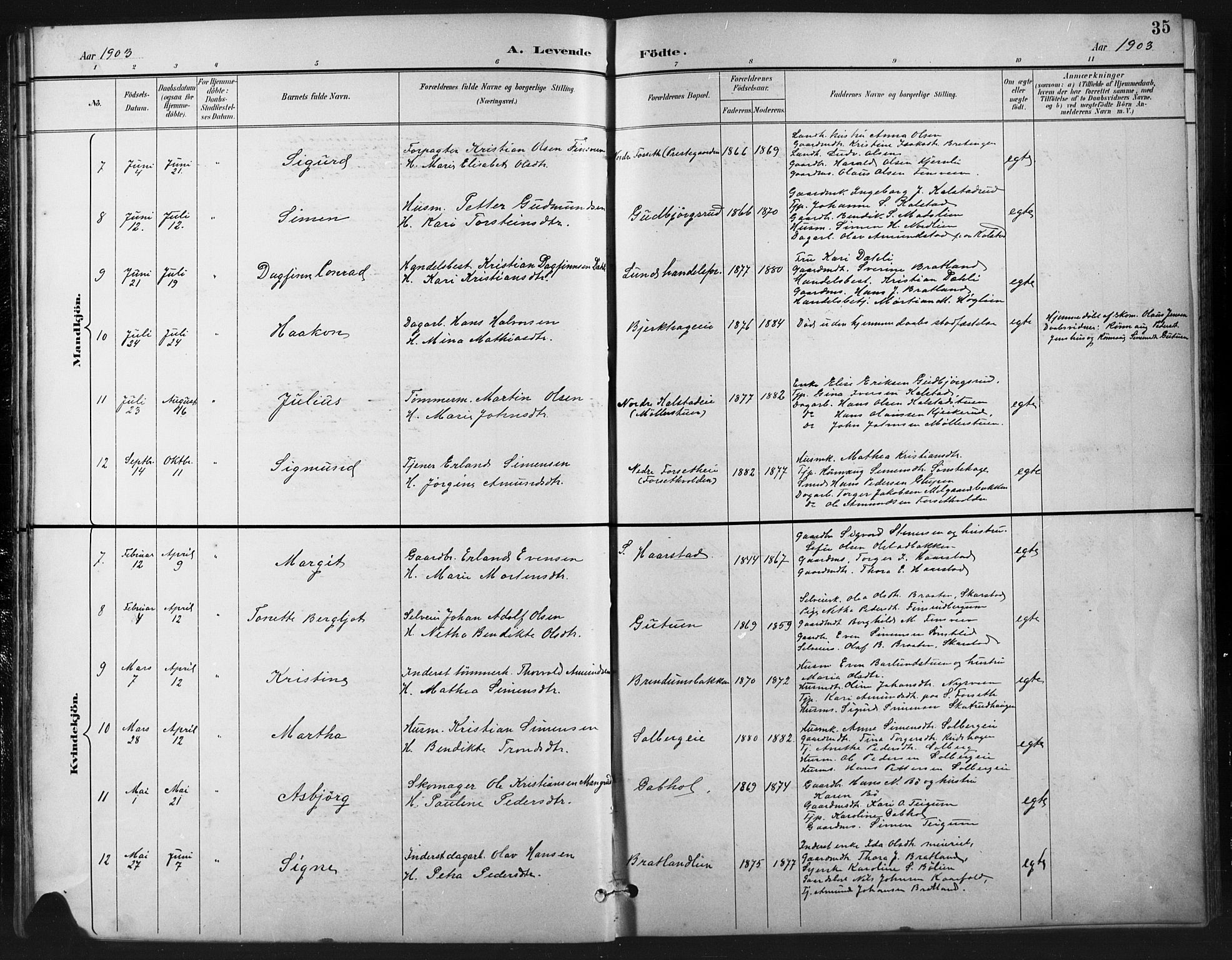 Vestre Gausdal prestekontor, SAH/PREST-094/H/Ha/Hab/L0003: Parish register (copy) no. 3, 1896-1925, p. 35