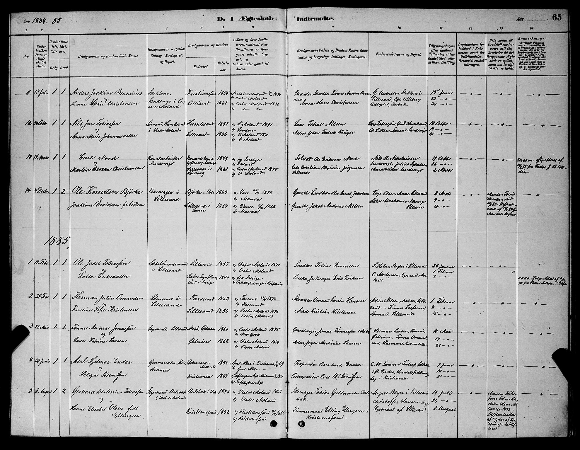 Vestre Moland sokneprestkontor, AV/SAK-1111-0046/F/Fb/Fba/L0001: Parish register (copy) no. B 1, 1884-1903, p. 65