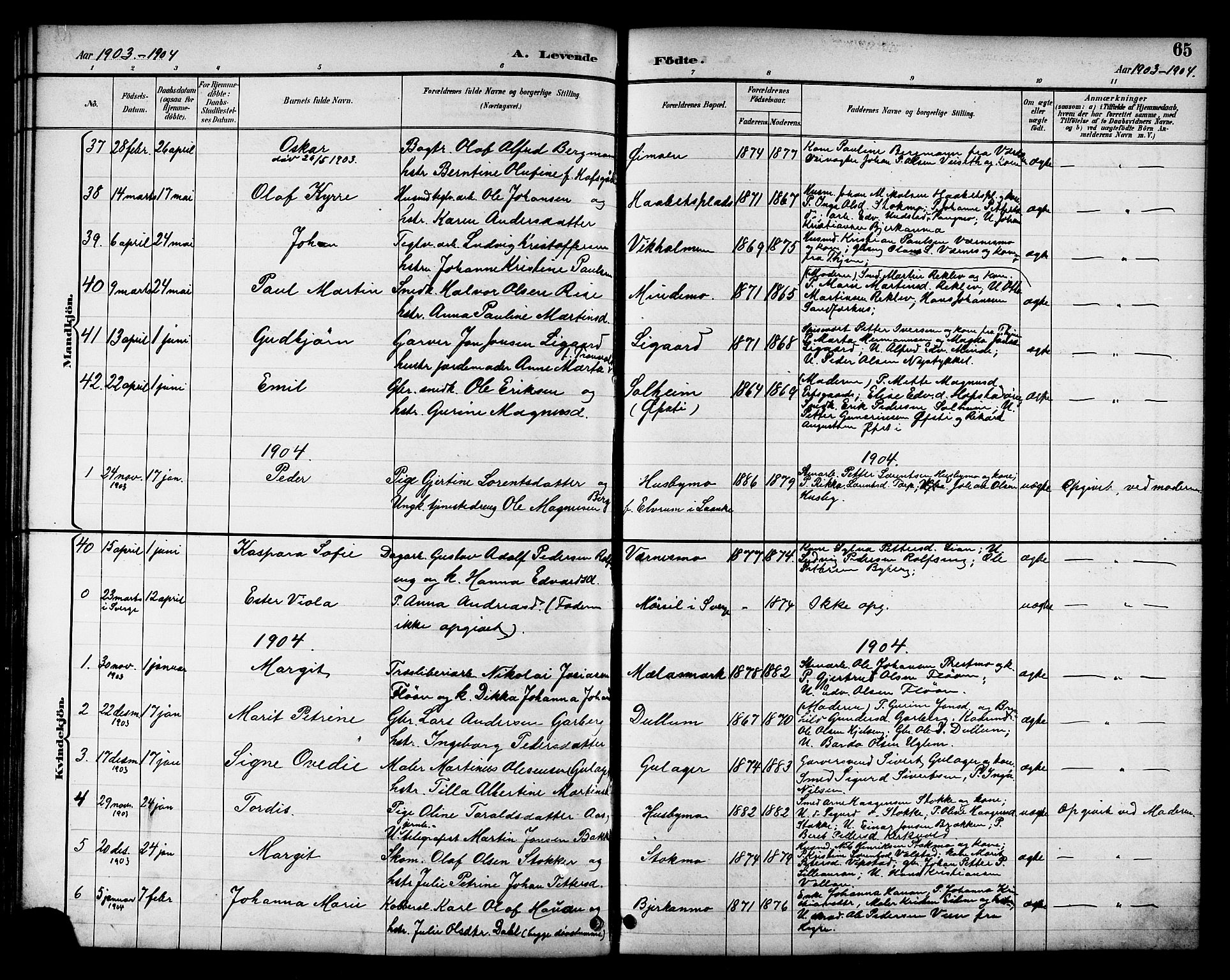 Ministerialprotokoller, klokkerbøker og fødselsregistre - Nord-Trøndelag, SAT/A-1458/709/L0087: Parish register (copy) no. 709C01, 1892-1913, p. 65