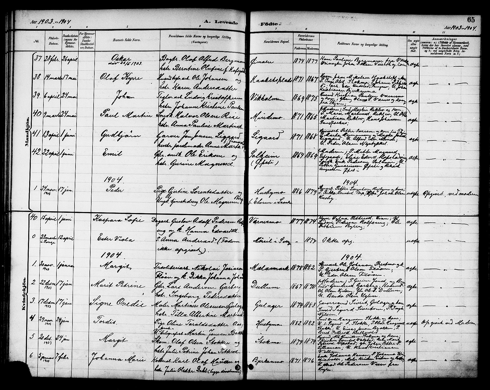 Ministerialprotokoller, klokkerbøker og fødselsregistre - Nord-Trøndelag, AV/SAT-A-1458/709/L0087: Parish register (copy) no. 709C01, 1892-1913, p. 65