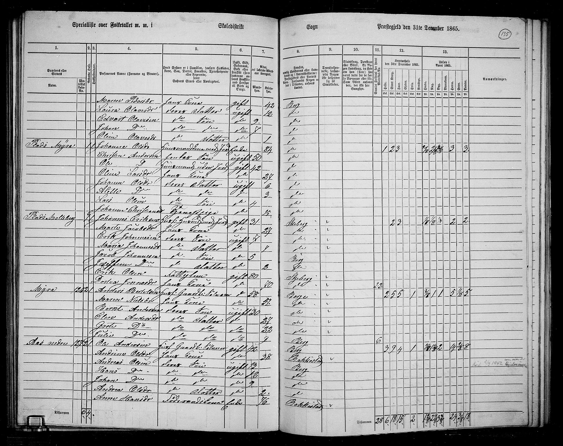 RA, 1865 census for Berg, 1865, p. 118