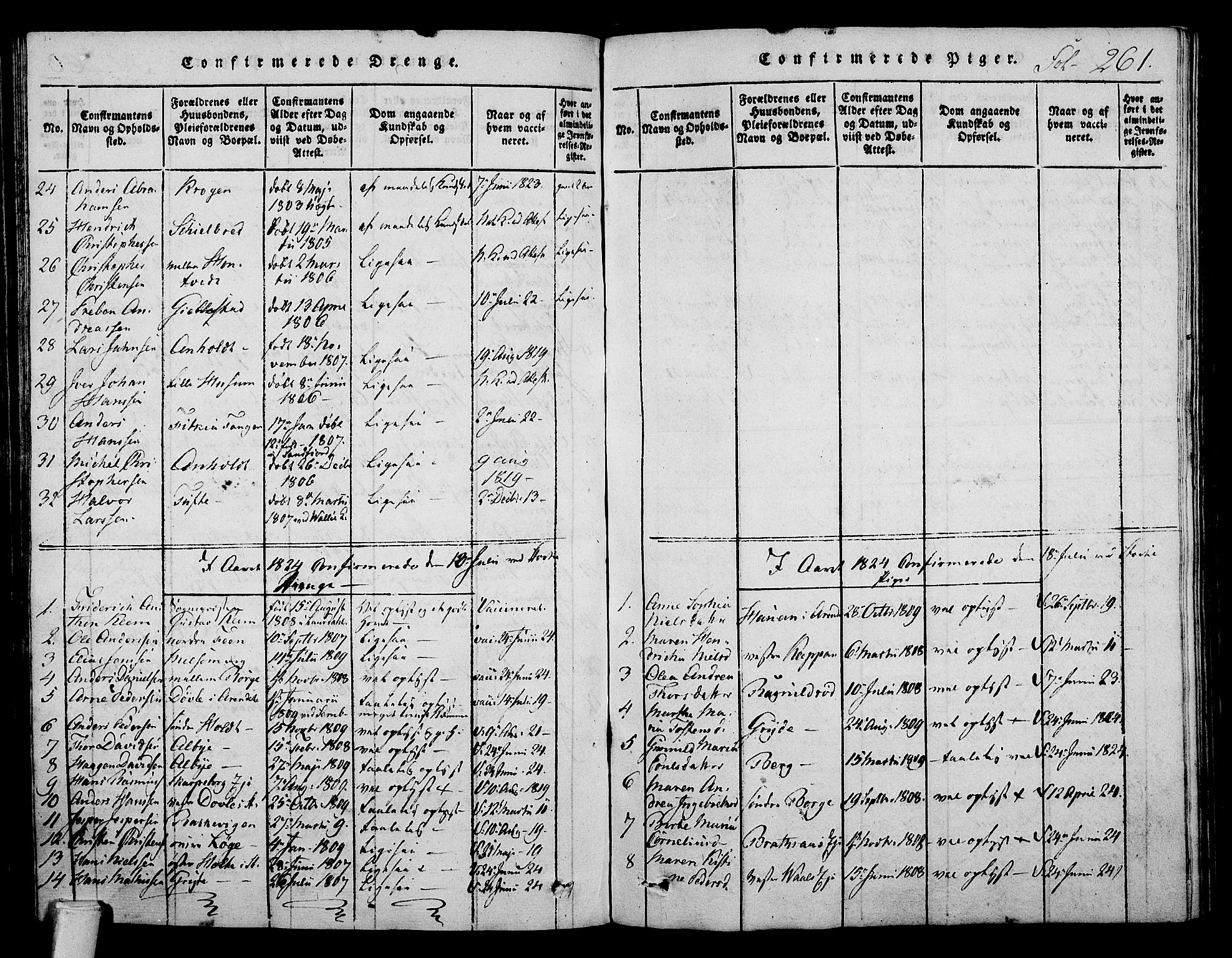 Stokke kirkebøker, SAKO/A-320/F/Fa/L0005: Parish register (official) no. I 5, 1815-1826, p. 261