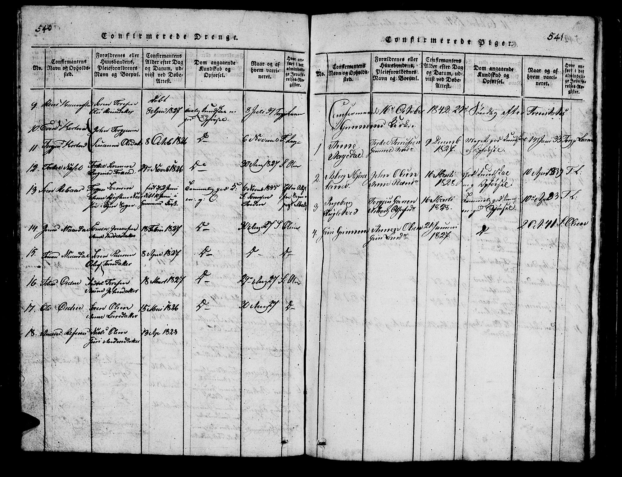 Bjelland sokneprestkontor, AV/SAK-1111-0005/F/Fb/Fbc/L0001: Parish register (copy) no. B 1, 1815-1870, p. 540-541