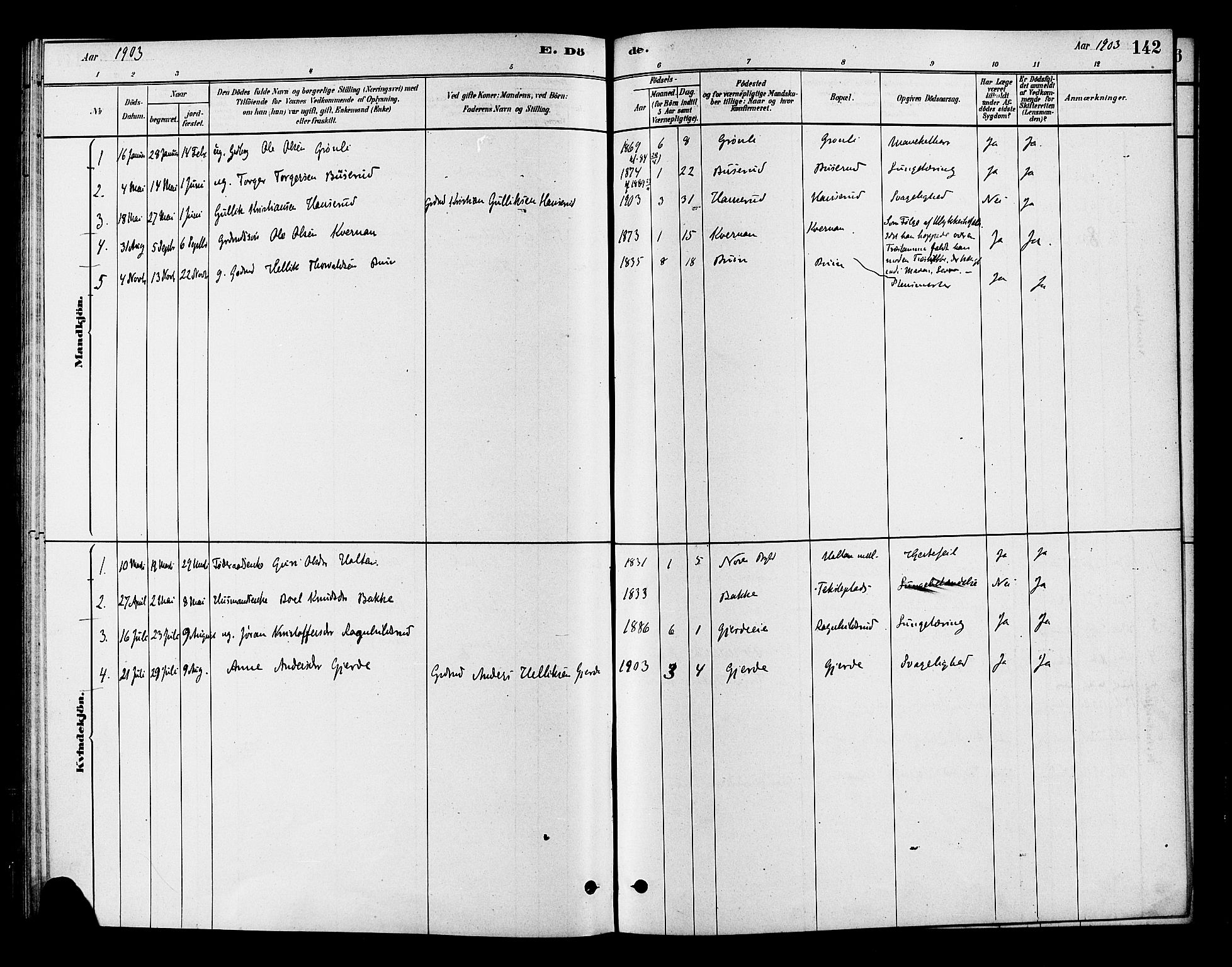 Flesberg kirkebøker, SAKO/A-18/F/Fc/L0001: Parish register (official) no. III 1, 1879-1905, p. 142