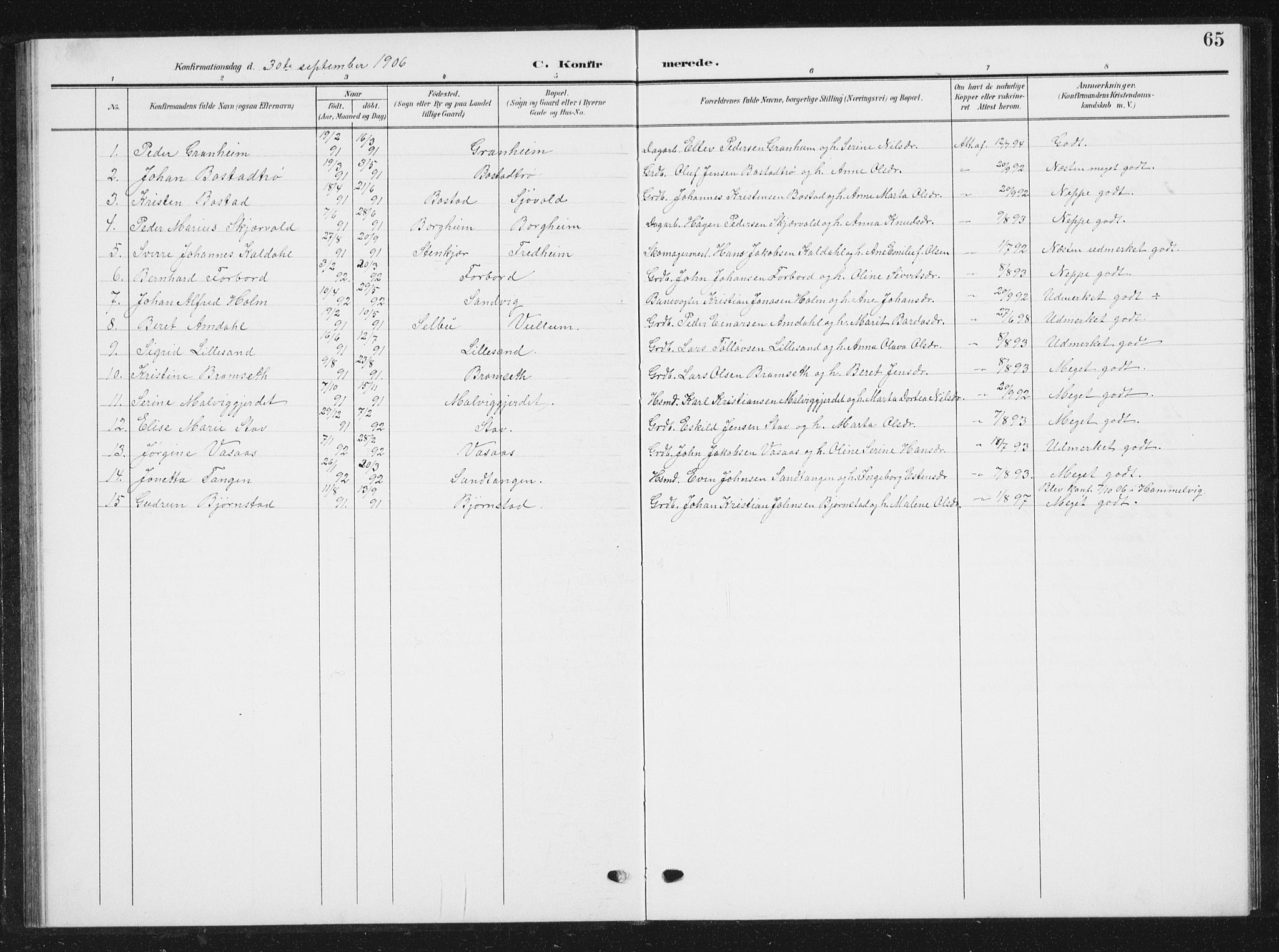 Ministerialprotokoller, klokkerbøker og fødselsregistre - Sør-Trøndelag, SAT/A-1456/616/L0424: Parish register (copy) no. 616C07, 1904-1940, p. 65