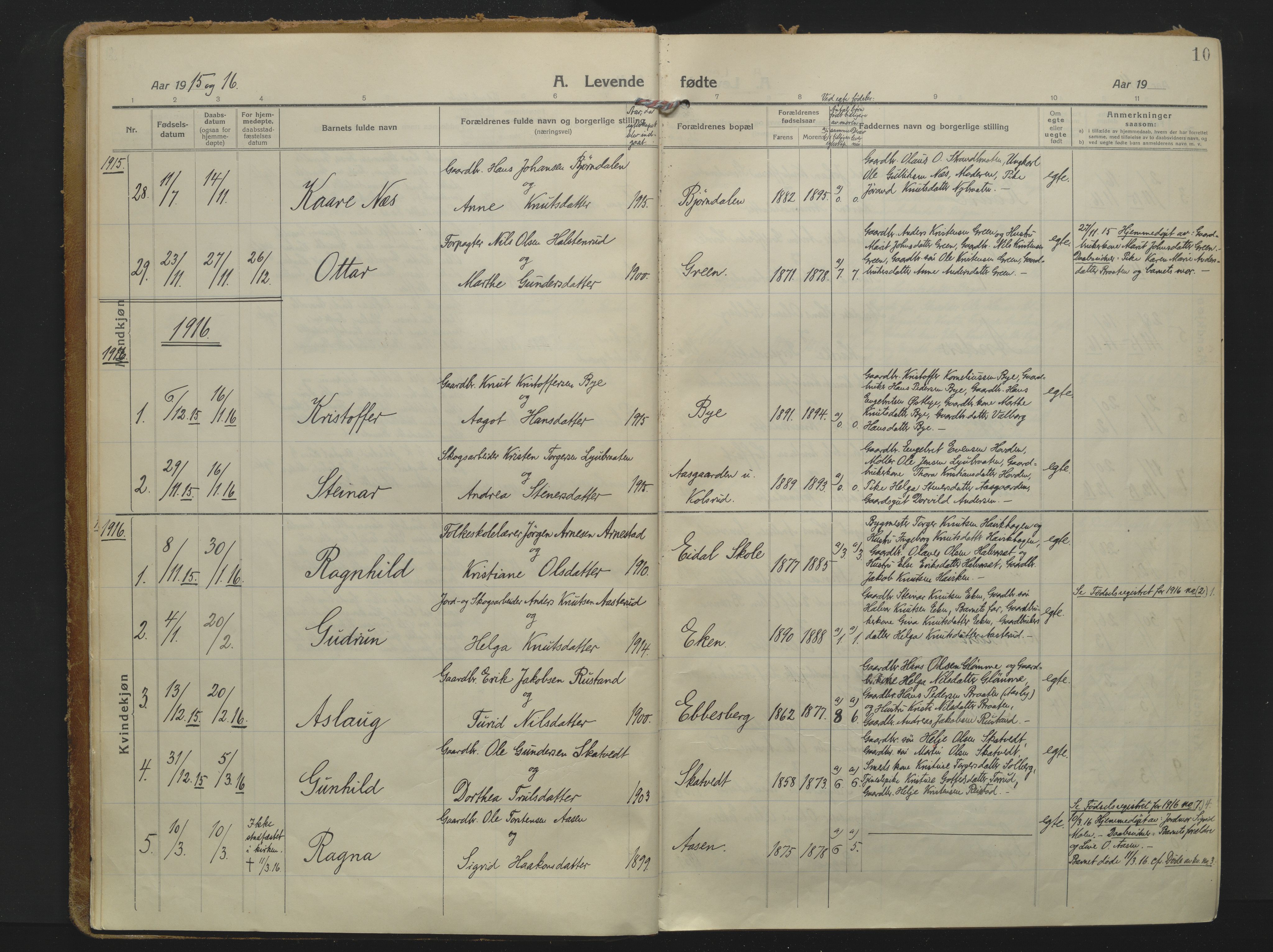 Sigdal kirkebøker, AV/SAKO-A-245/F/Fb/L0003: Parish register (official) no. II 3, 1915-1932, p. 10
