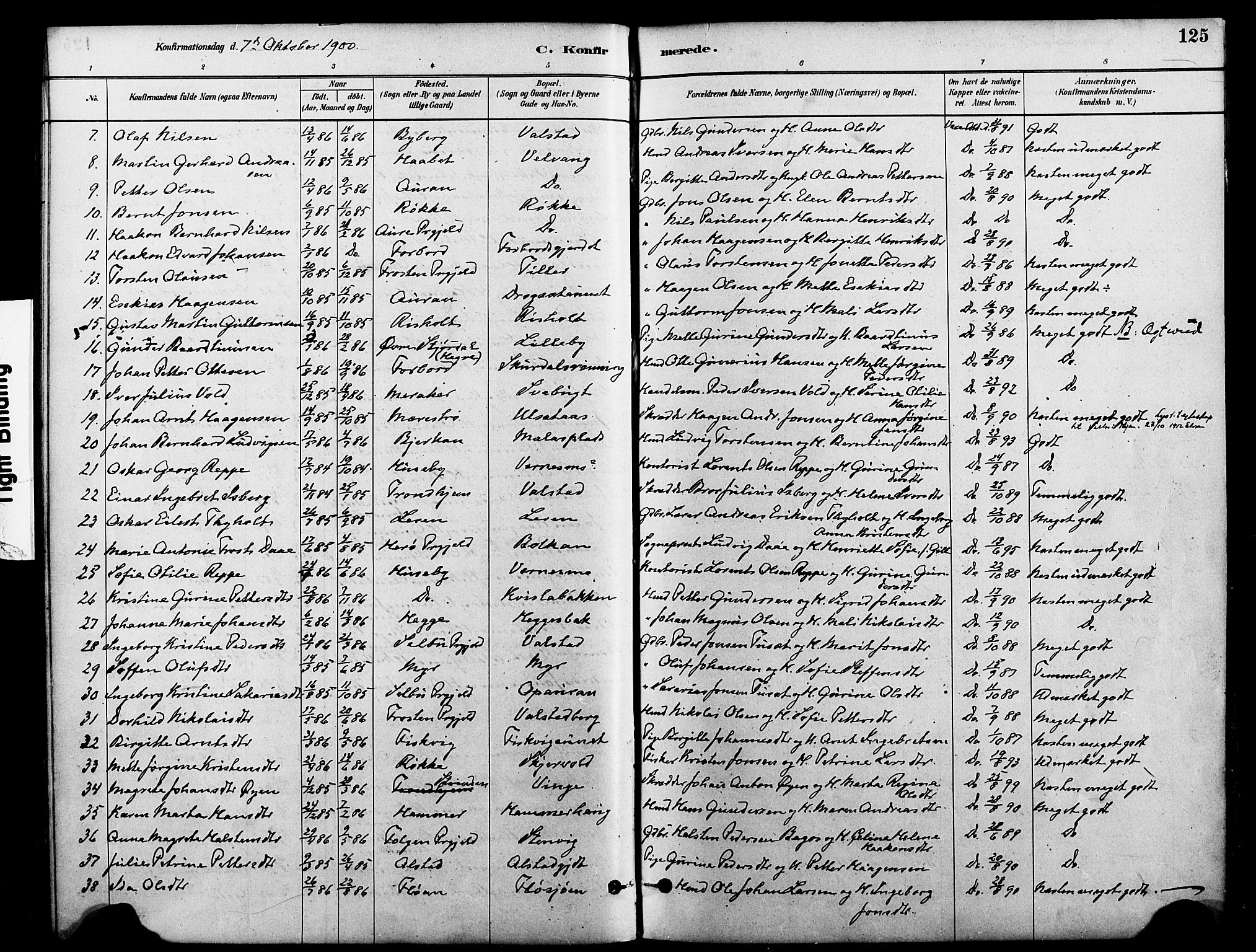 Ministerialprotokoller, klokkerbøker og fødselsregistre - Nord-Trøndelag, AV/SAT-A-1458/712/L0100: Parish register (official) no. 712A01, 1880-1900, p. 125