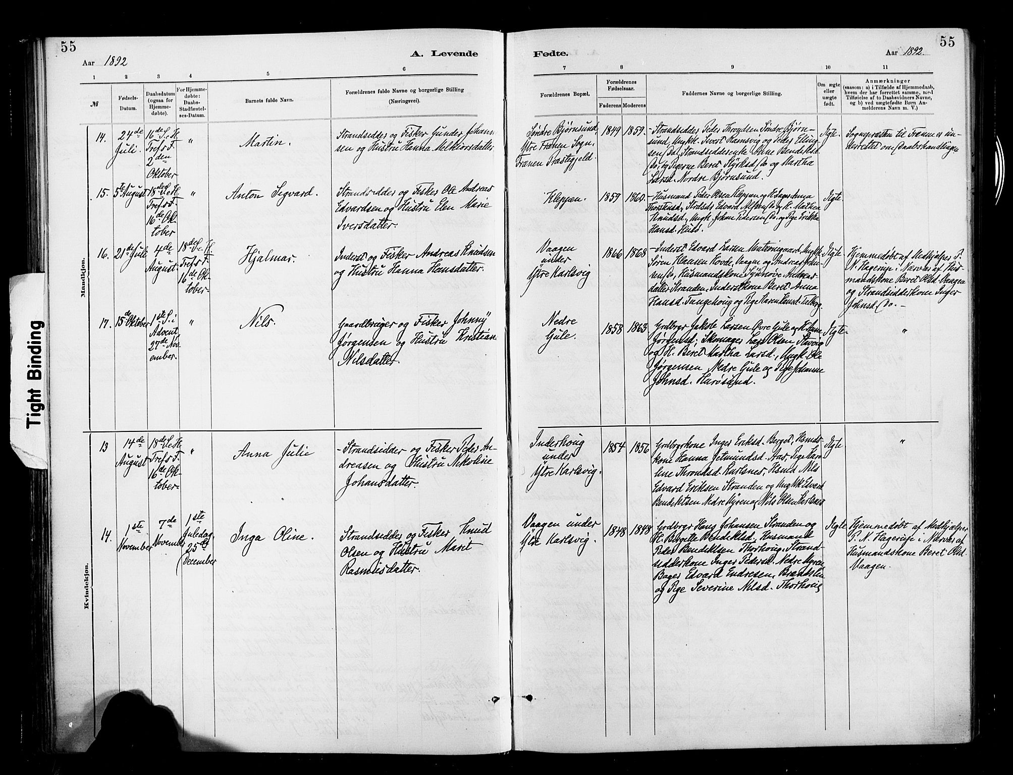 Ministerialprotokoller, klokkerbøker og fødselsregistre - Møre og Romsdal, AV/SAT-A-1454/566/L0769: Parish register (official) no. 566A08, 1881-1903, p. 55