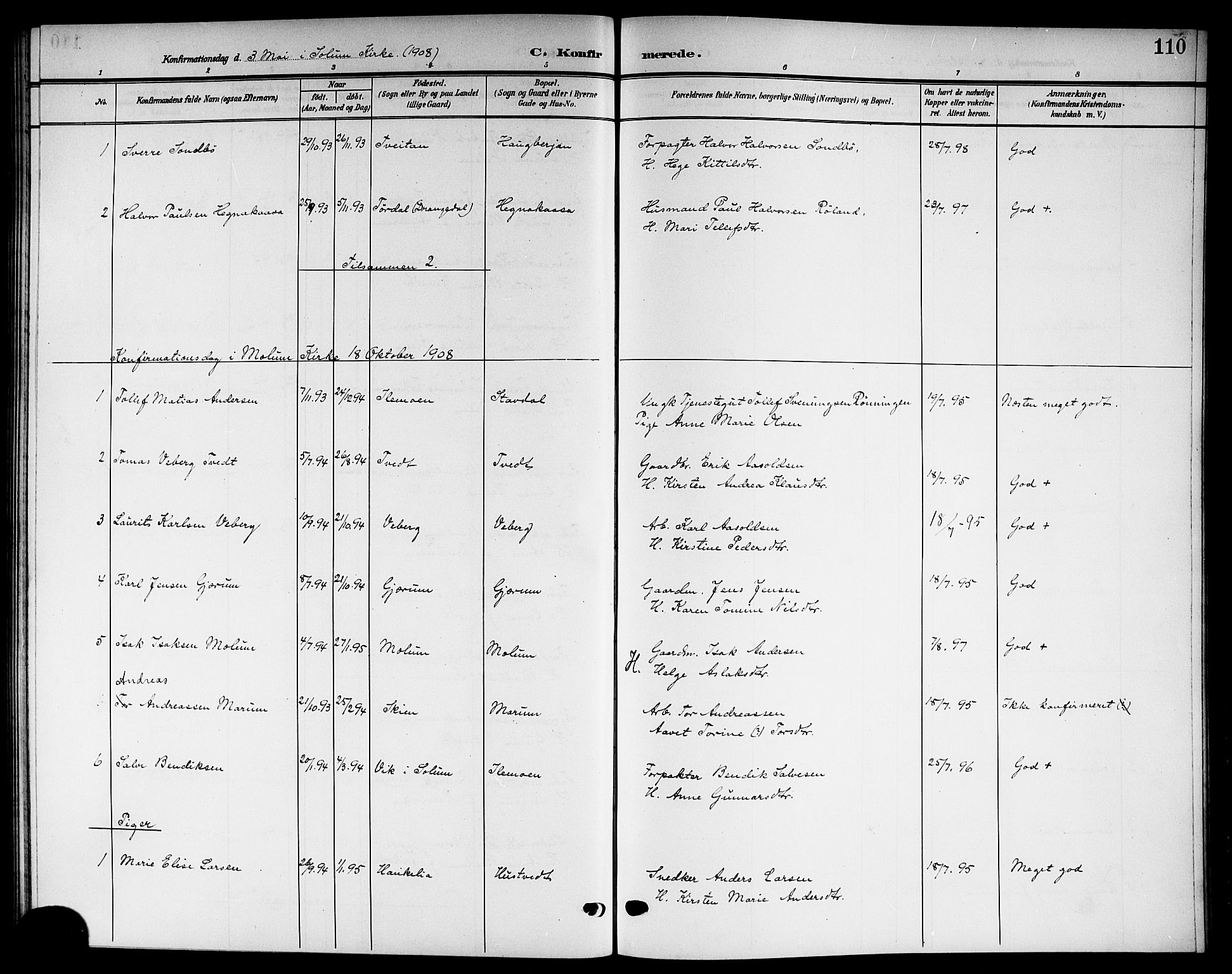 Solum kirkebøker, SAKO/A-306/G/Gb/L0005: Parish register (copy) no. II 5, 1905-1914, p. 110