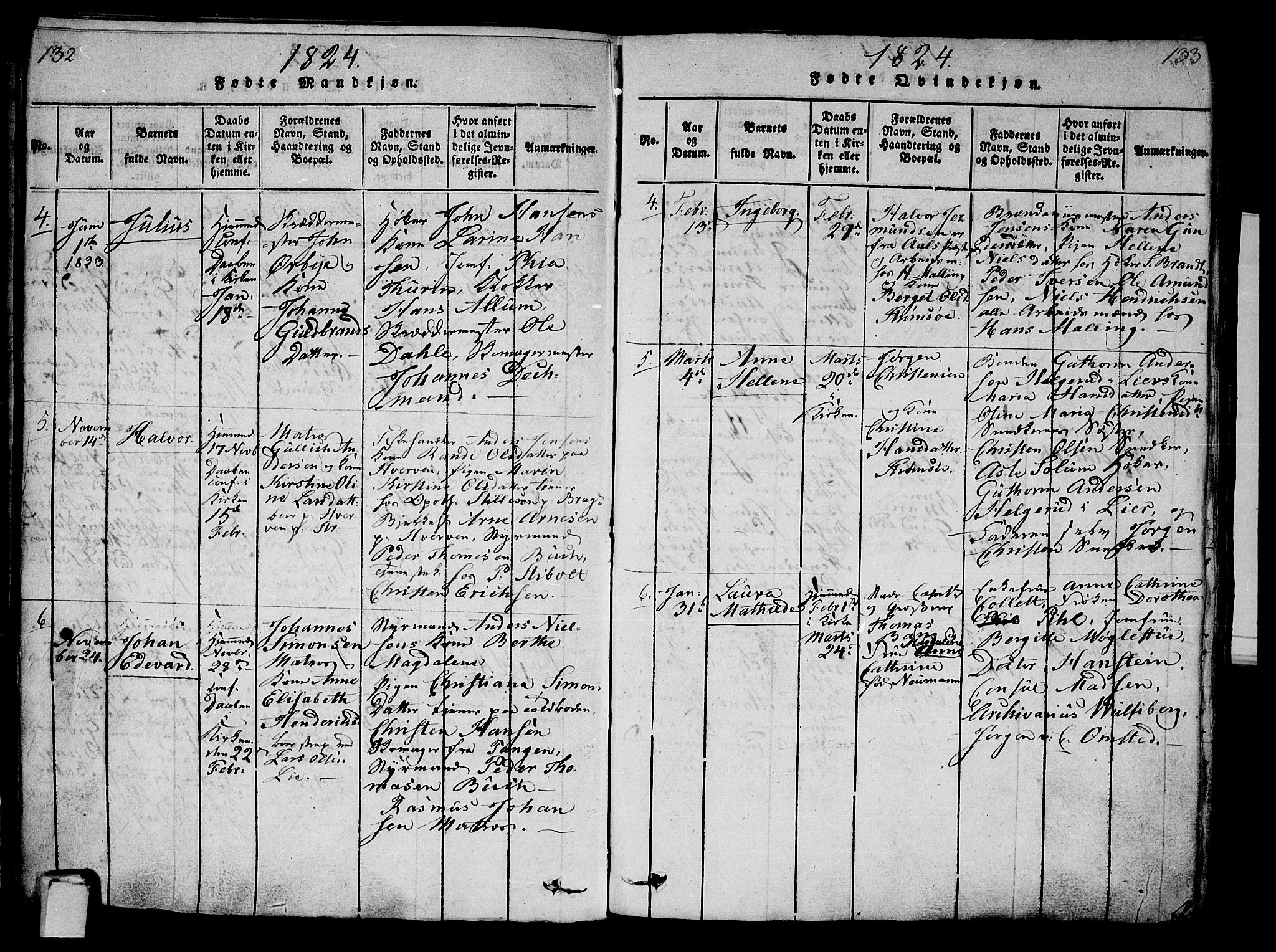 Strømsø kirkebøker, AV/SAKO-A-246/G/Ga/L0001: Parish register (copy) no. 1, 1815-1829, p. 132-133