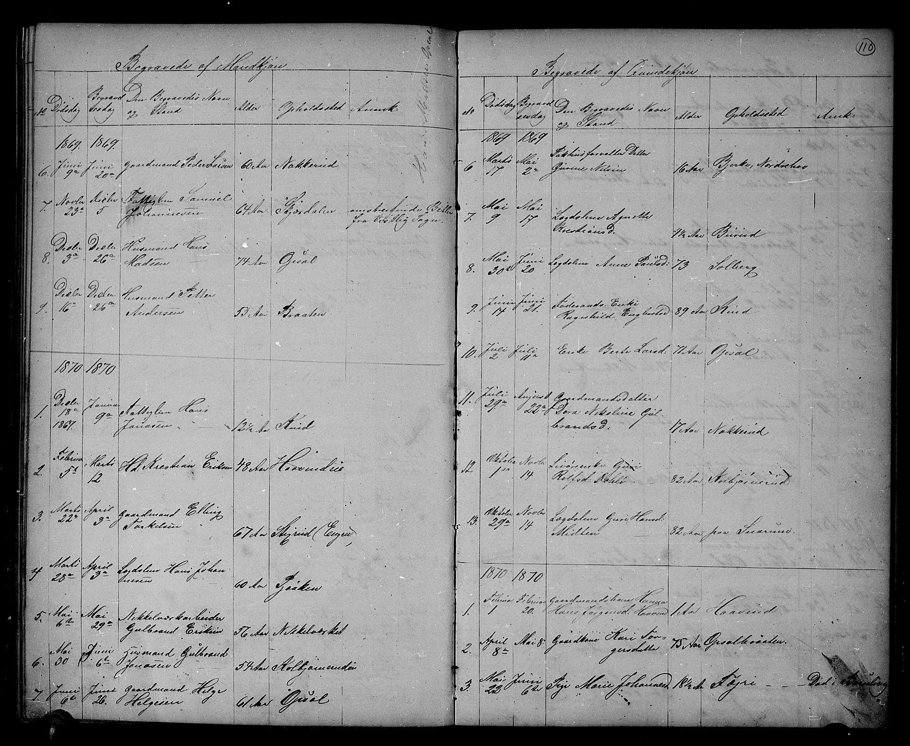 Hole kirkebøker, SAKO/A-228/G/Gb/L0001: Parish register (copy) no. II 1, 1859-1878, p. 110