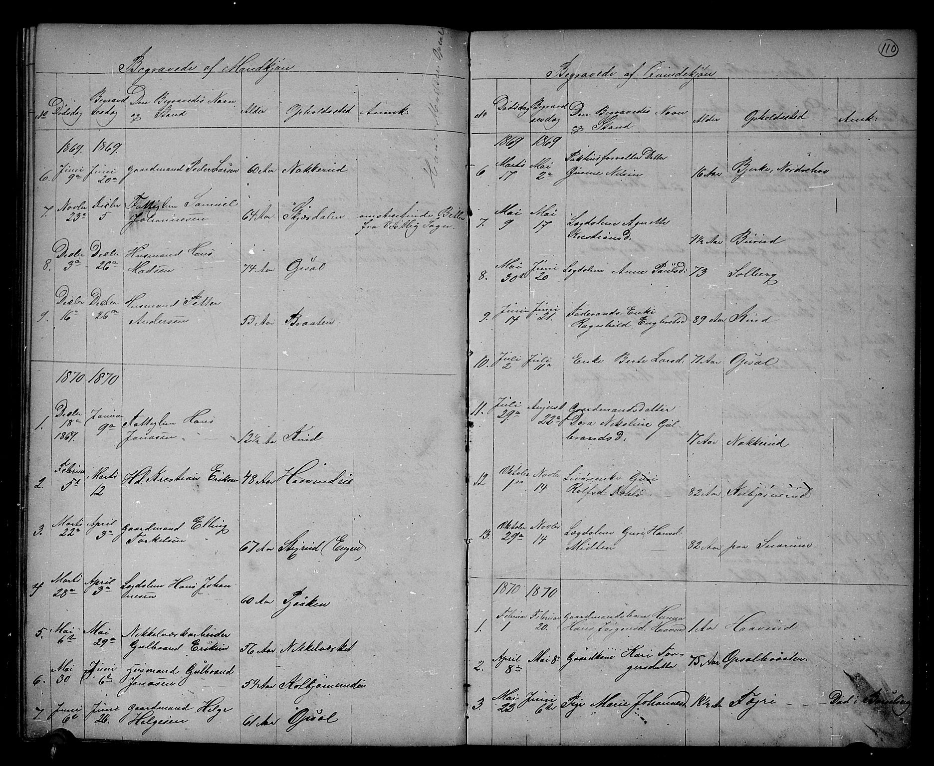 Hole kirkebøker, AV/SAKO-A-228/G/Gb/L0001: Parish register (copy) no. II 1, 1859-1878, p. 110
