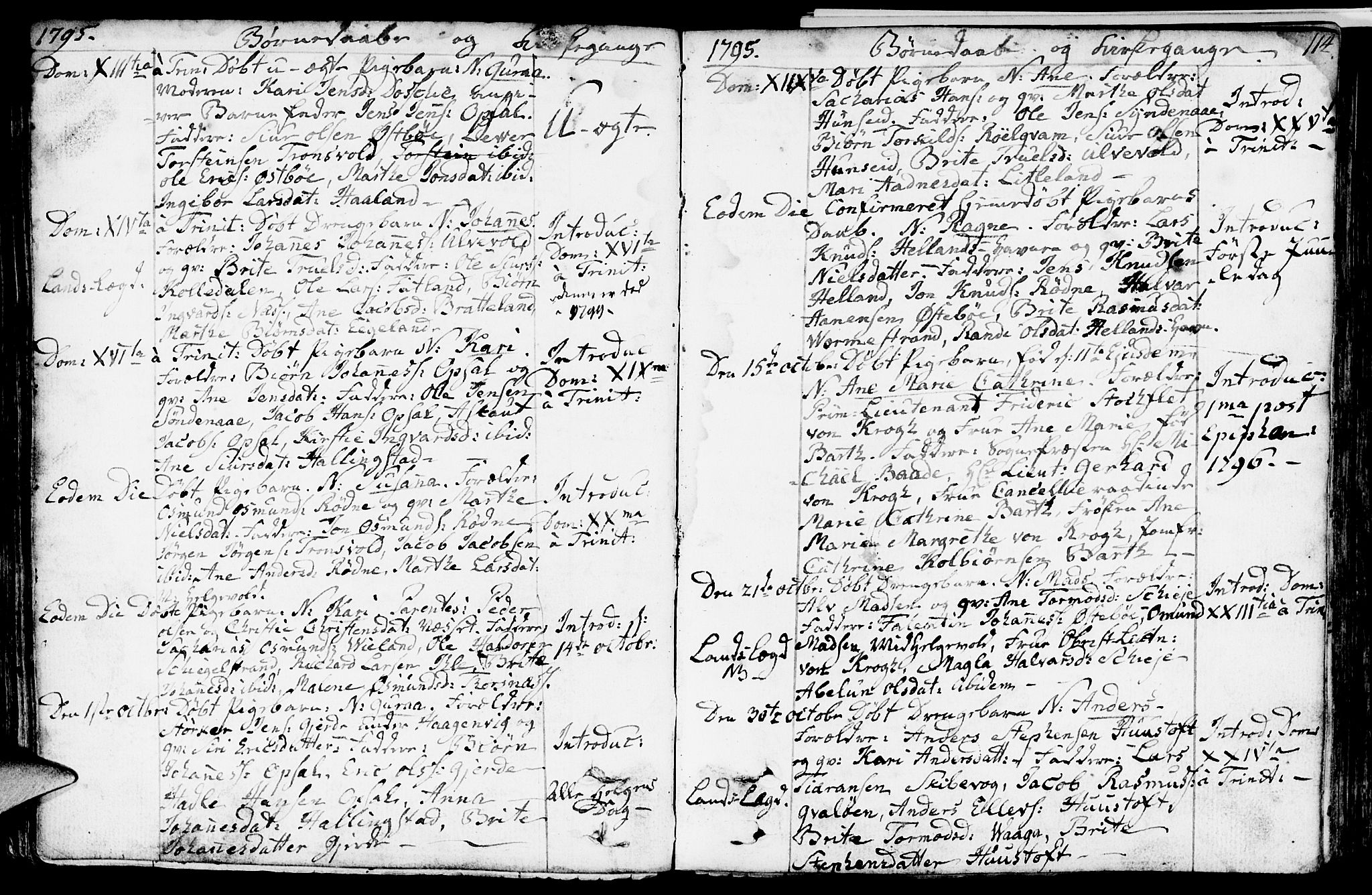 Vikedal sokneprestkontor, SAST/A-101840/01/IV: Parish register (official) no. A 2, 1779-1817, p. 114