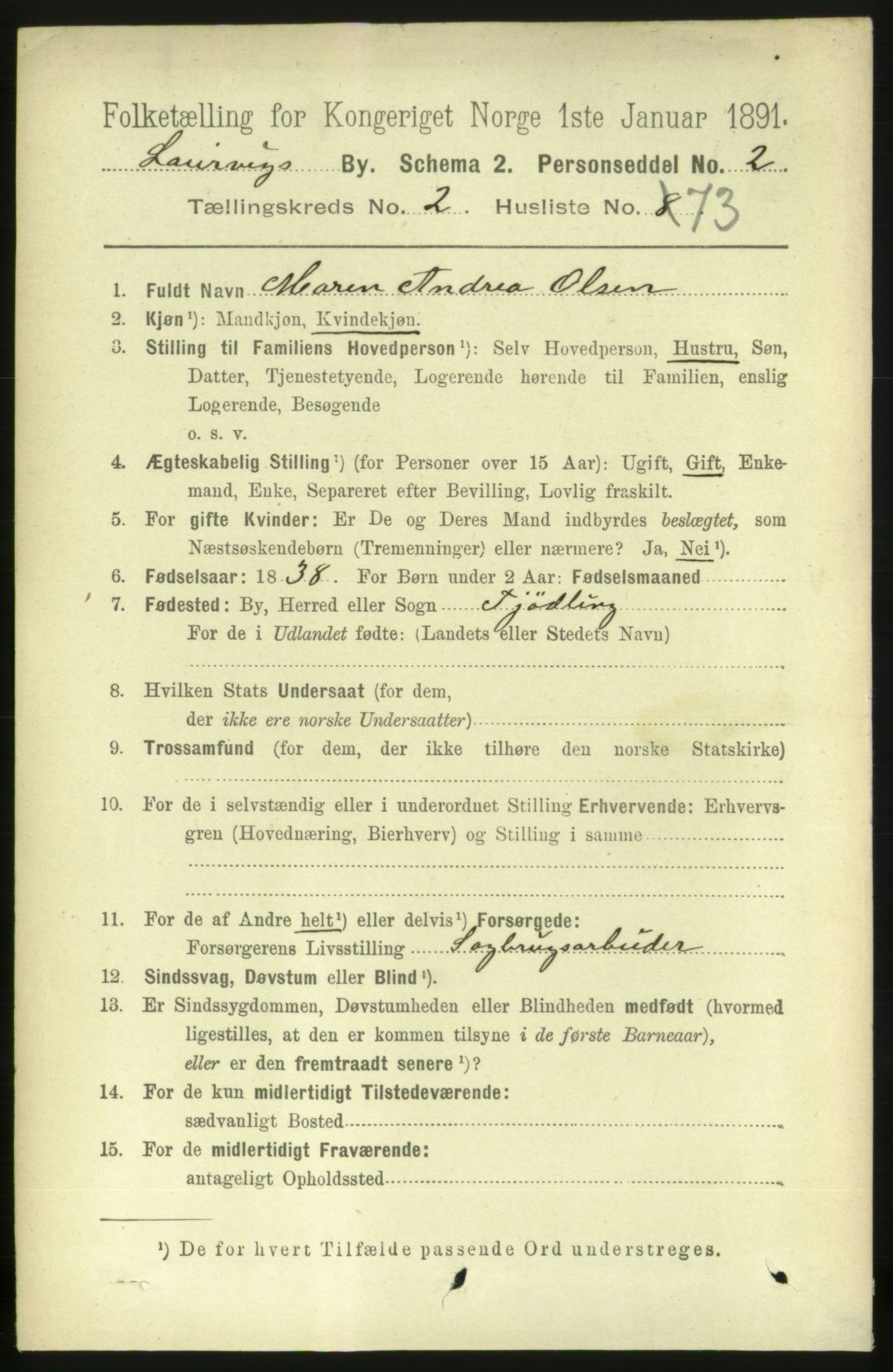 RA, 1891 census for 0707 Larvik, 1891, p. 4119