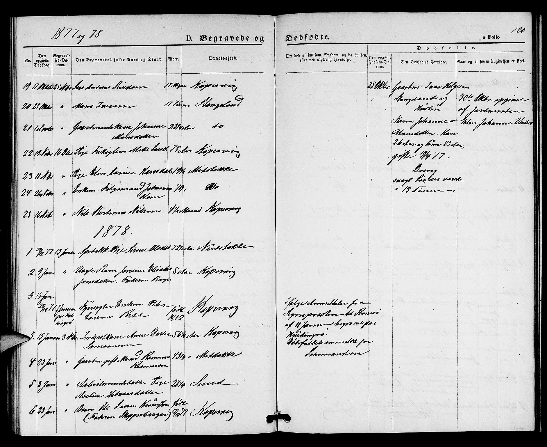 Kopervik sokneprestkontor, SAST/A-101850/H/Ha/Hab/L0001: Parish register (copy) no. B 1, 1877-1891, p. 120