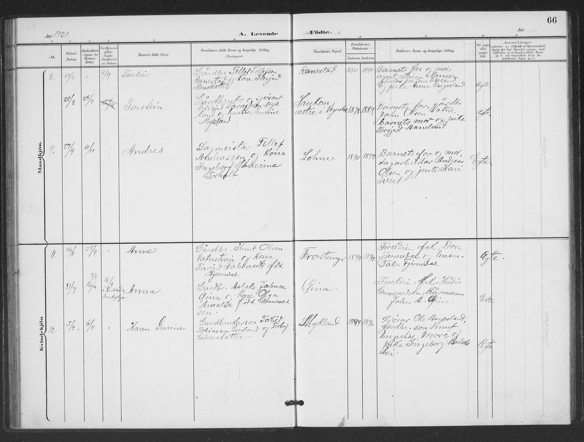 Evje sokneprestkontor, SAK/1111-0008/F/Fb/Fbc/L0005: Parish register (copy) no. B 5, 1901-1935, p. 66