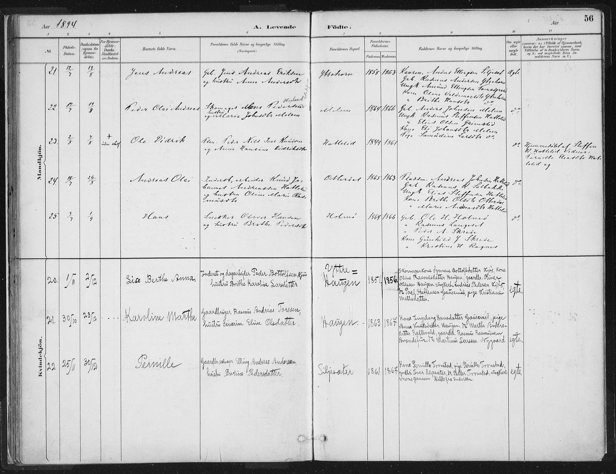 Hornindal sokneprestembete, AV/SAB-A-82401/H/Haa/Haaa/L0003/0001: Parish register (official) no. A 3A, 1887-1917, p. 56