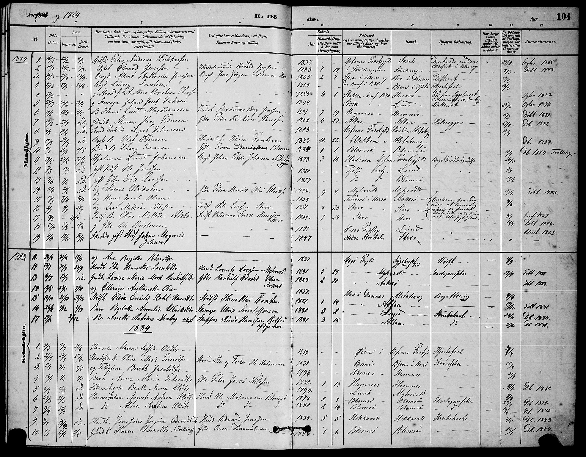 Ministerialprotokoller, klokkerbøker og fødselsregistre - Nordland, AV/SAT-A-1459/830/L0462: Parish register (copy) no. 830C04, 1882-1895, p. 104