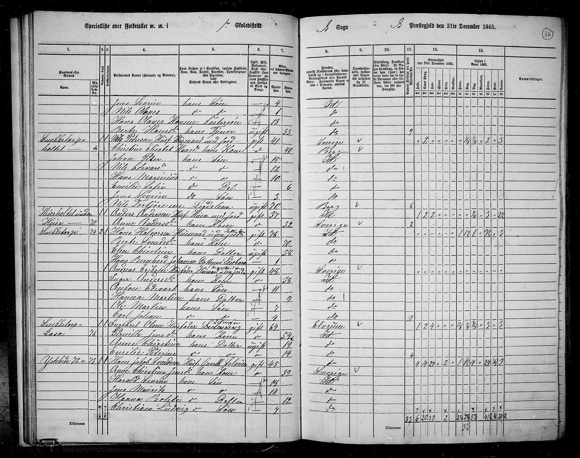 RA, 1865 census for Idd, 1865, p. 34