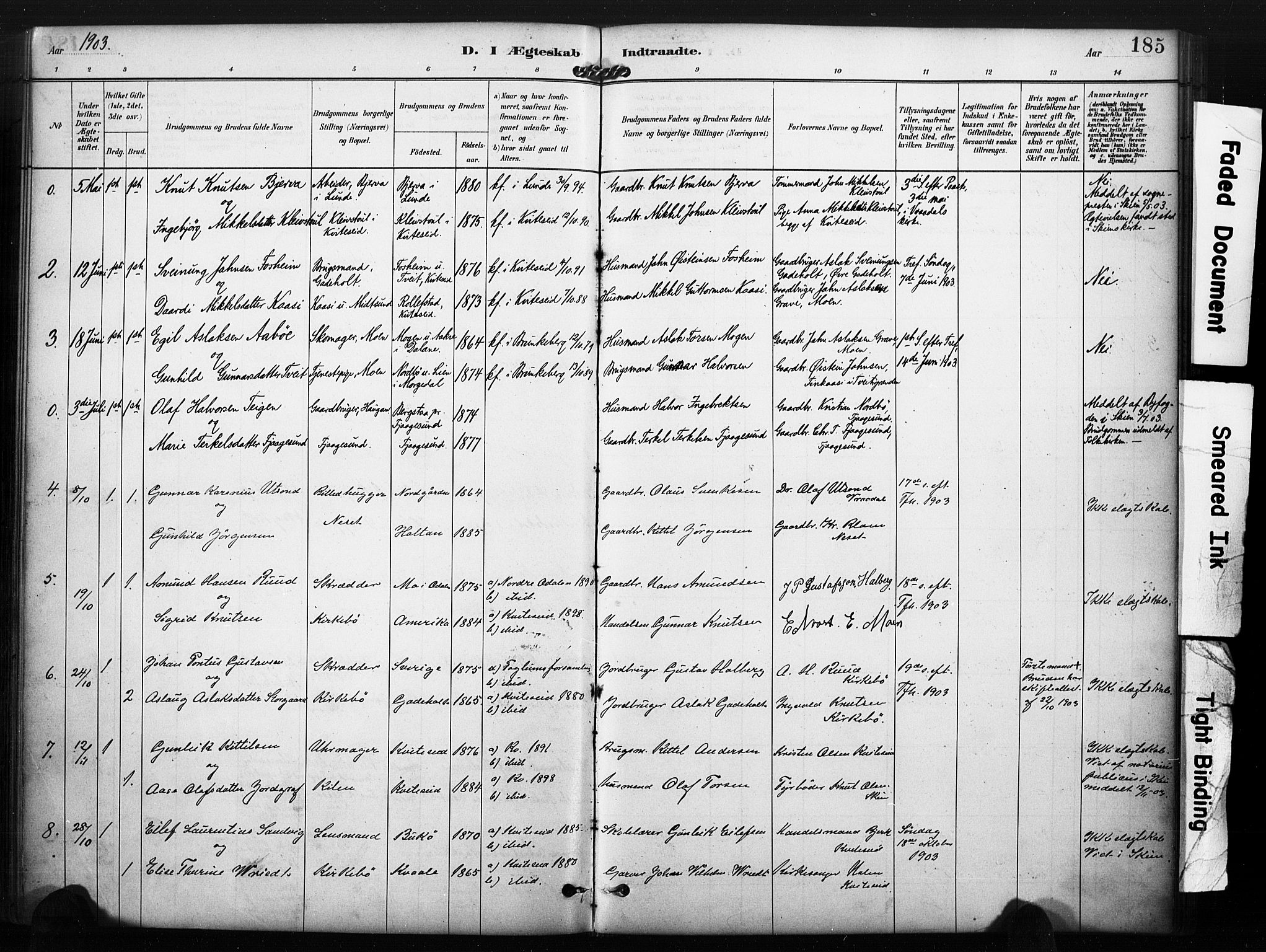 Kviteseid kirkebøker, SAKO/A-276/F/Fa/L0008: Parish register (official) no. I 8, 1882-1903, p. 185