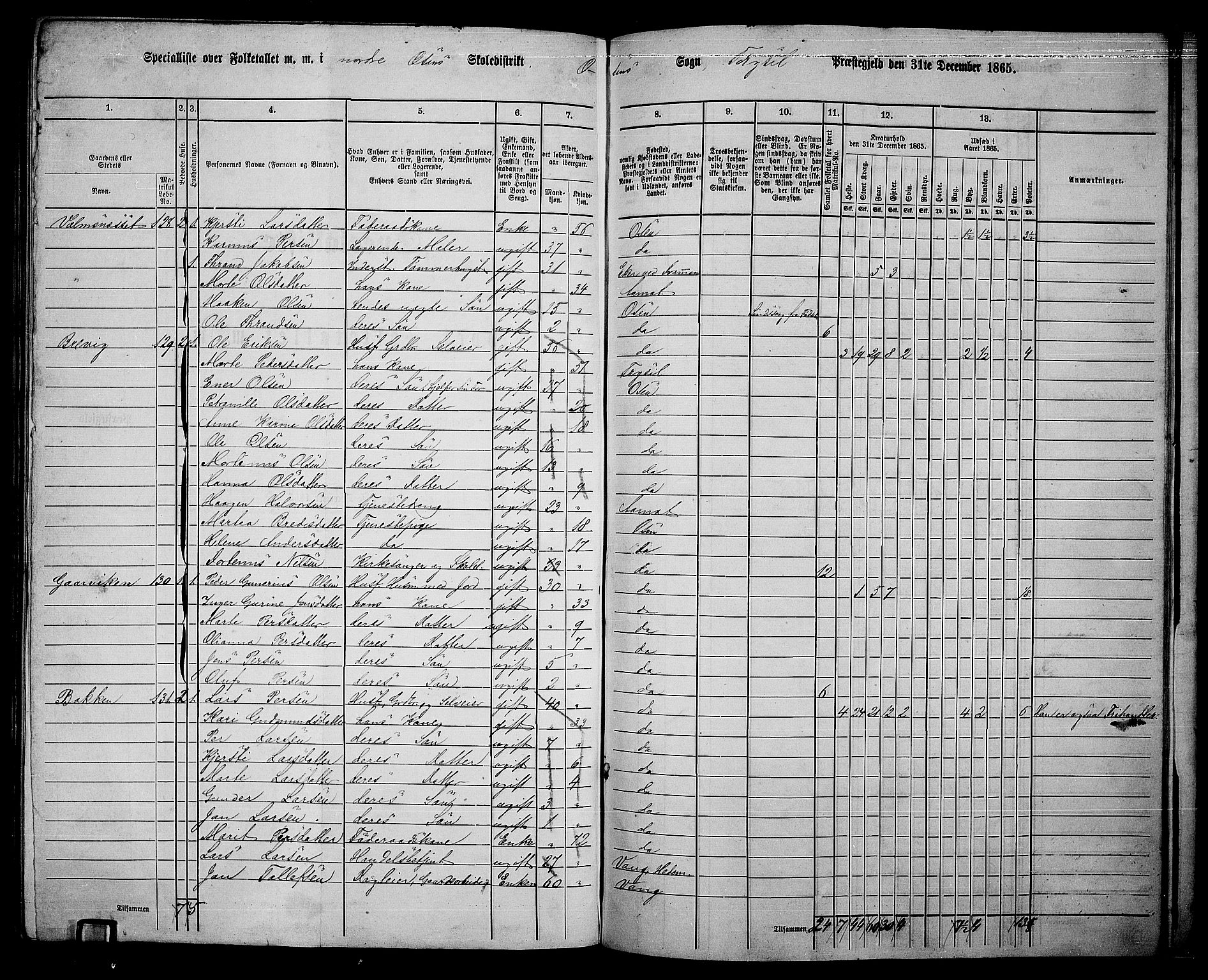 RA, 1865 census for Trysil, 1865, p. 153