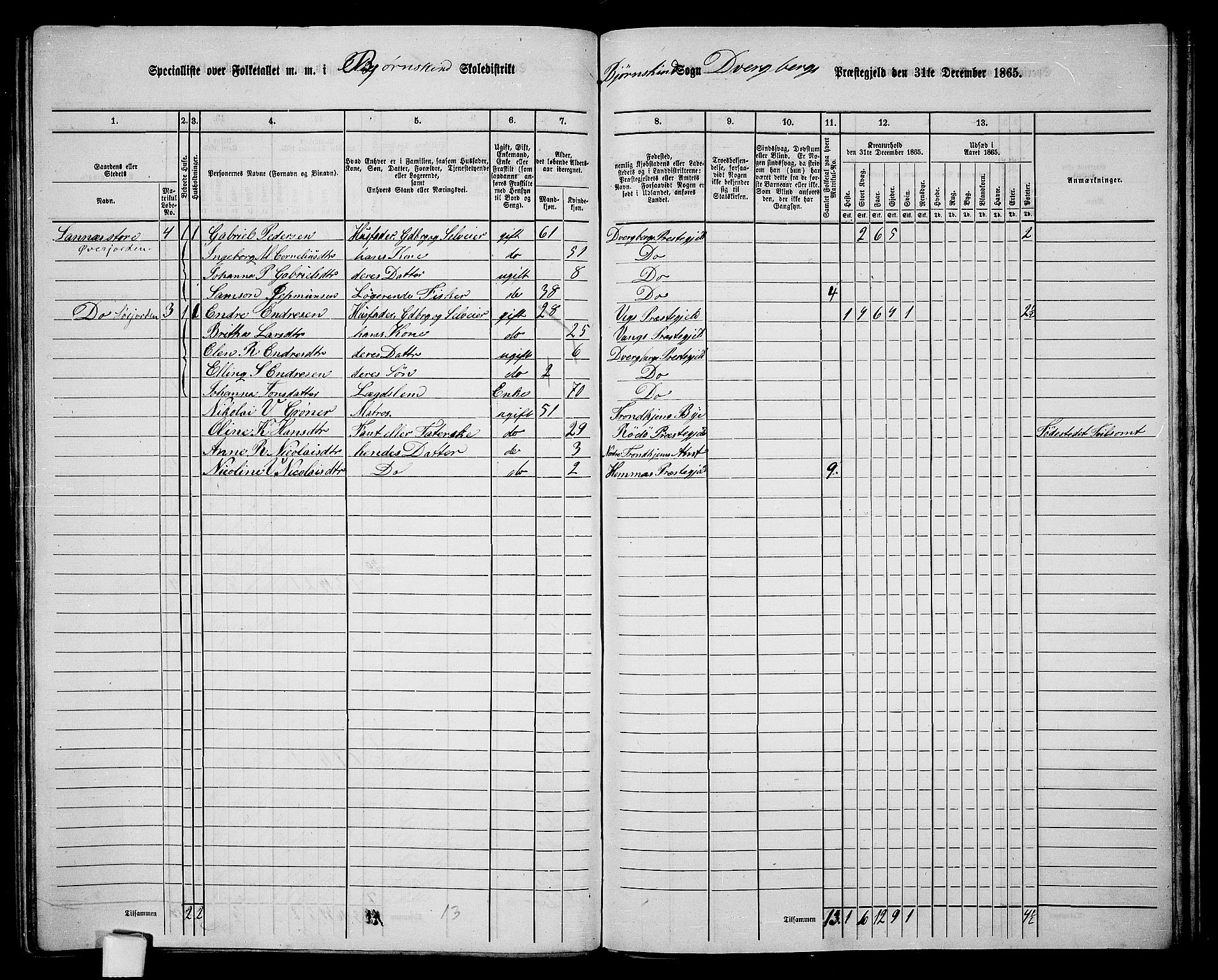 RA, 1865 census for Dverberg, 1865, p. 53