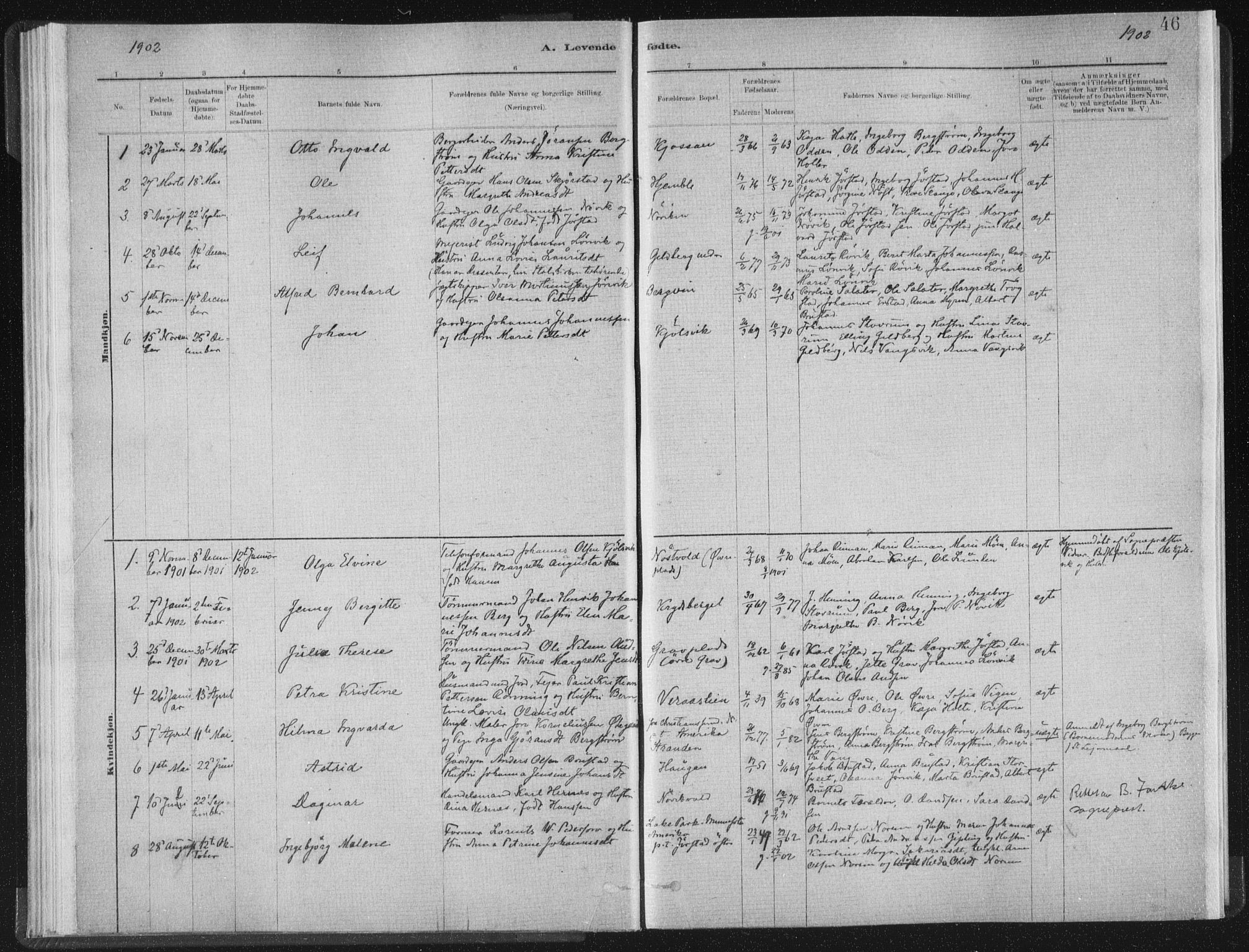 Ministerialprotokoller, klokkerbøker og fødselsregistre - Nord-Trøndelag, SAT/A-1458/722/L0220: Parish register (official) no. 722A07, 1881-1908, p. 46