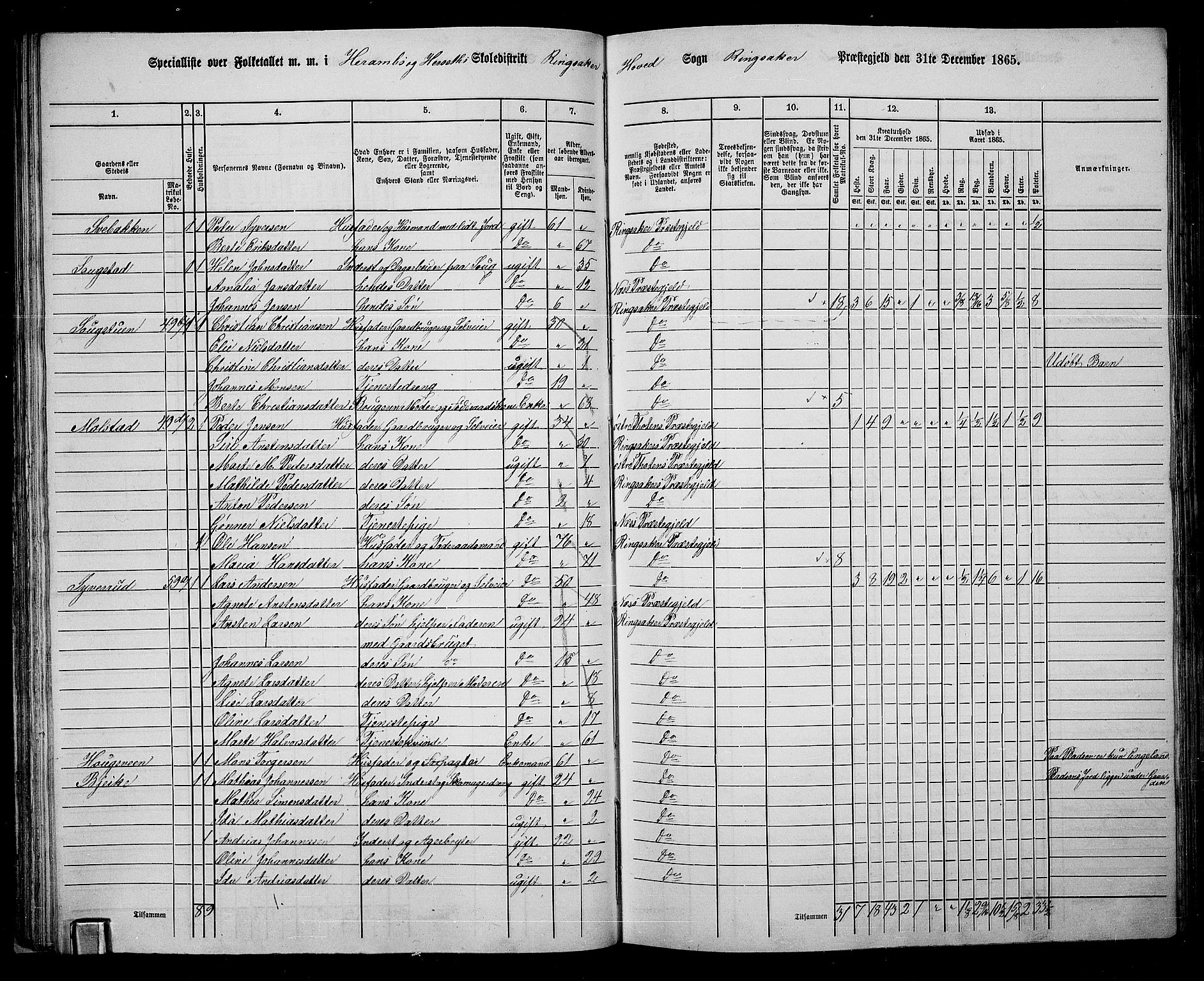 RA, 1865 census for Ringsaker, 1865, p. 71