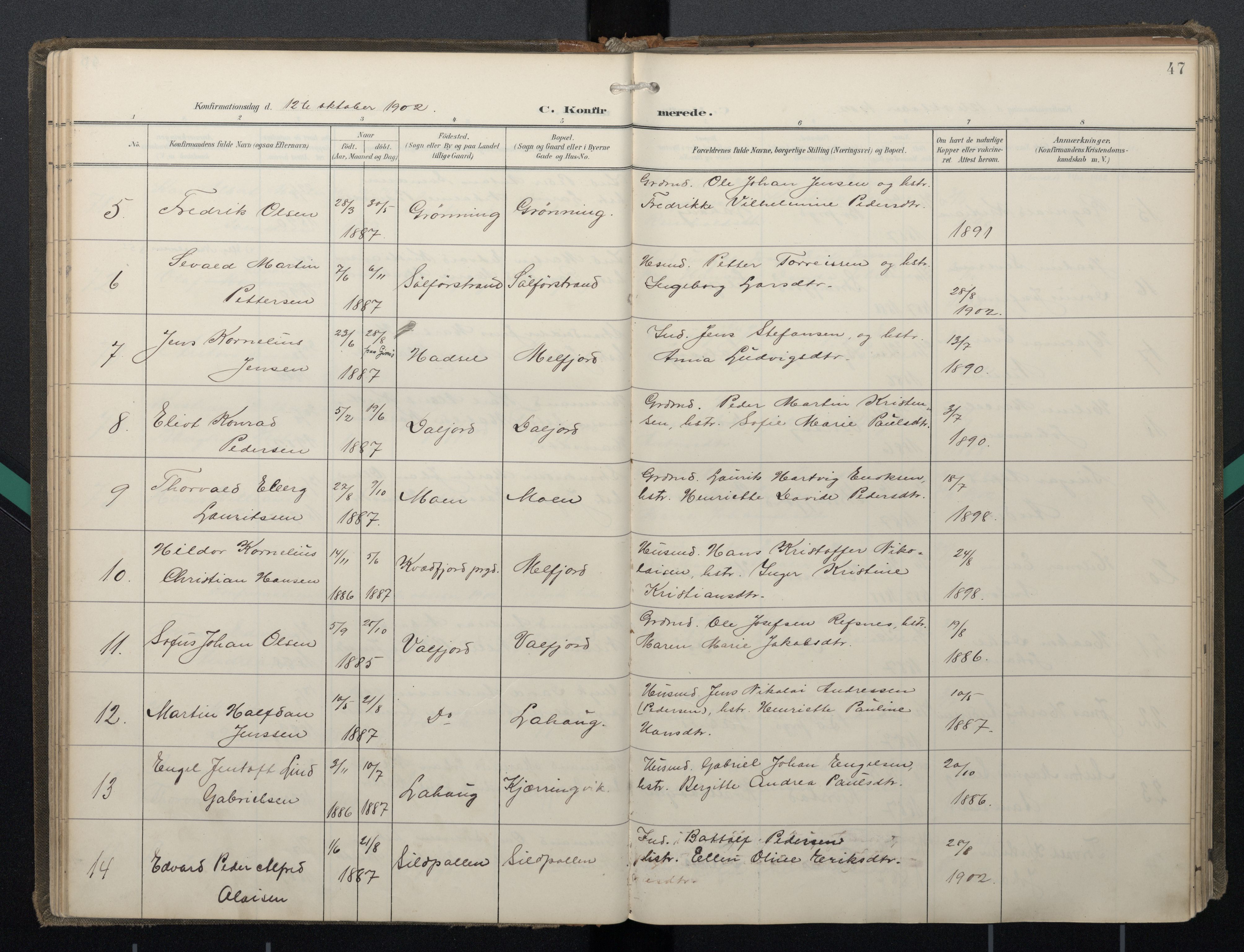 Ministerialprotokoller, klokkerbøker og fødselsregistre - Nordland, AV/SAT-A-1459/888/L1247: Parish register (official) no. 888A13, 1900-1911, p. 47