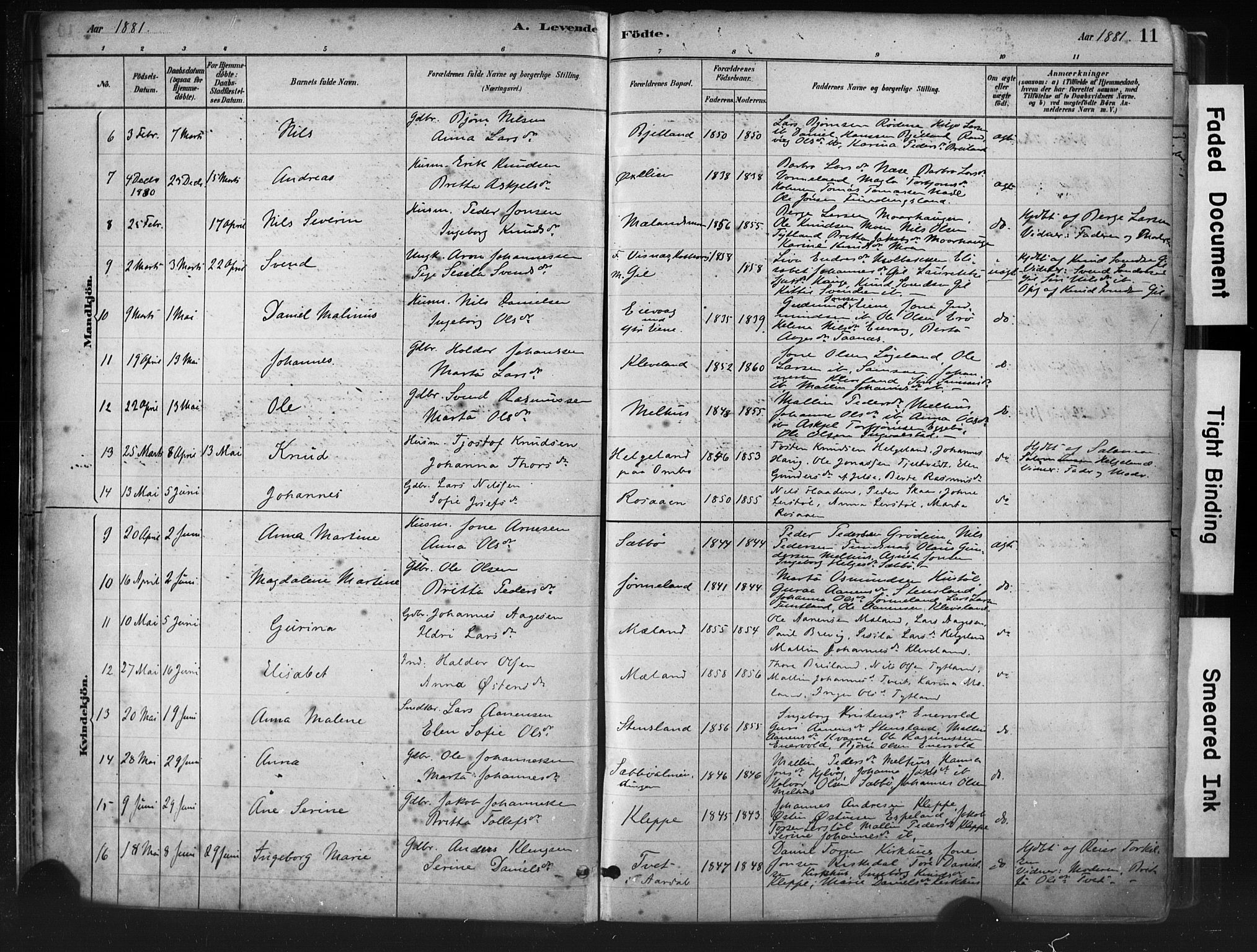 Hjelmeland sokneprestkontor, AV/SAST-A-101843/01/IV/L0014: Parish register (official) no. A 14, 1879-1900, p. 11